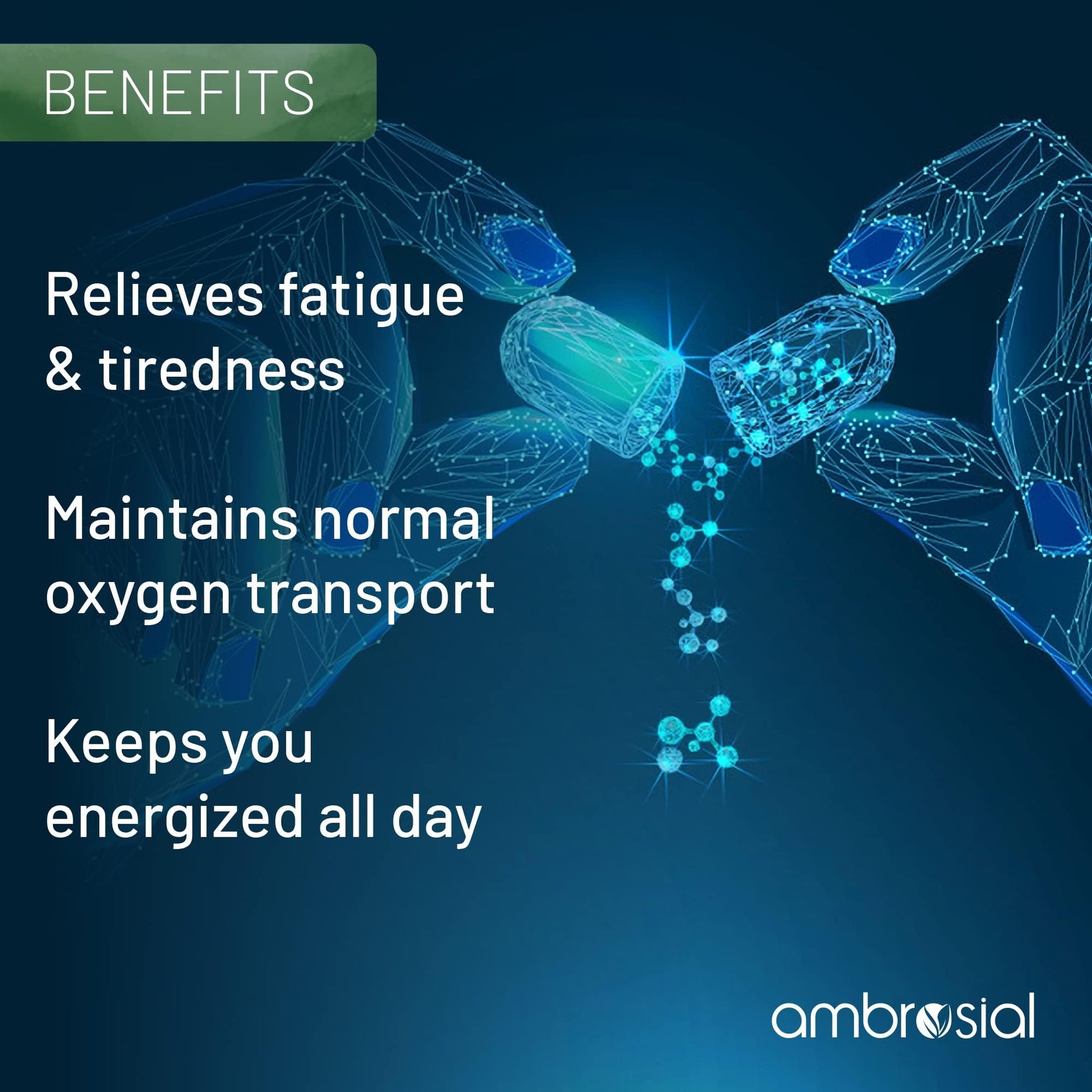 Ambrosial Iron+ 25mg Pack of 2-120 Capsules - Medaid International