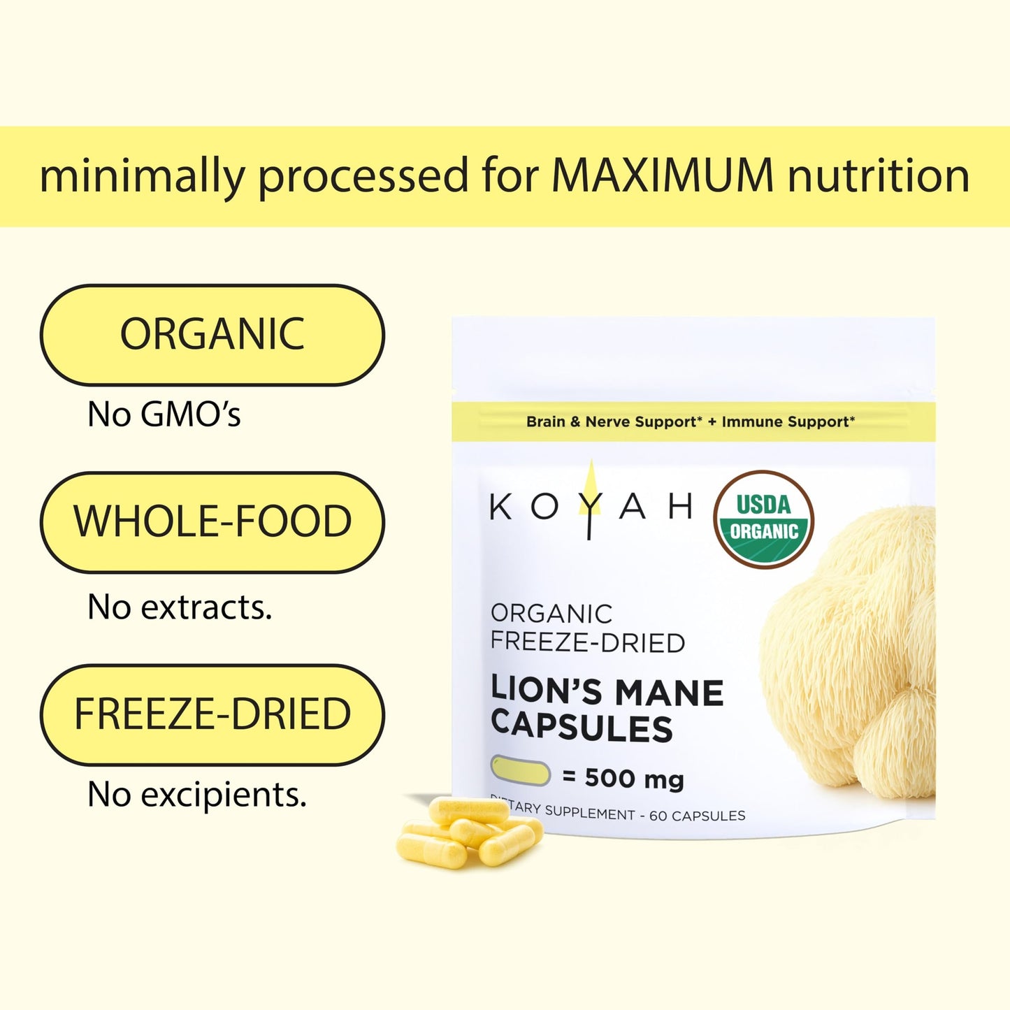 KOYAH Organic Lion's Mane Capsules - USA Grown, 100% Fruiting Body, Freeze-Dried, 3rd Party Tested for Beta-Glucans, 500 mg, Non-GMO, Vegan. Brain & Nerve Support. Immune Support. 60 Capsules - Medaid International