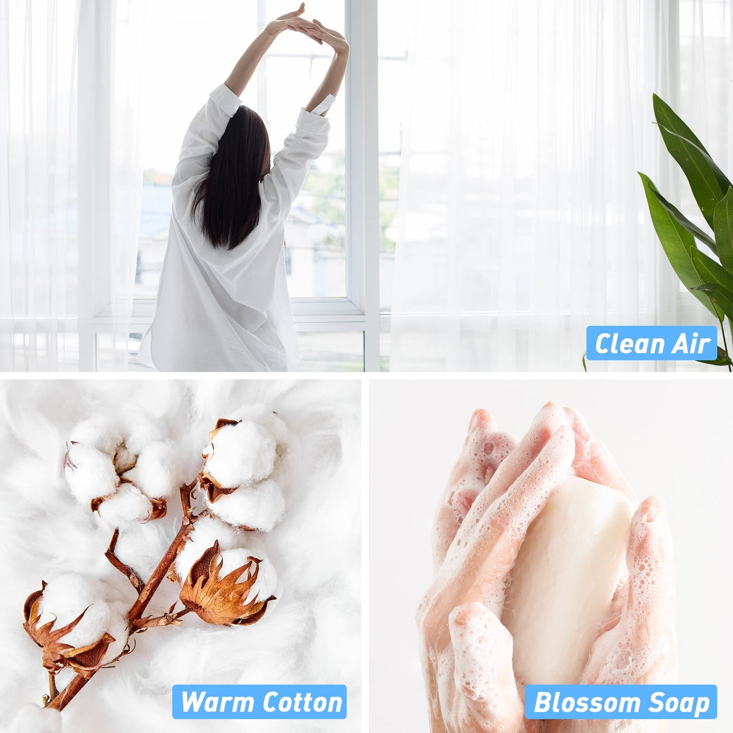 Clean Fragrance Oil, ESSLUX Essential Scented Oils for Diffuser for Home, Premium Soap Candle Making Scents, Aromatherapy Oils Collection for Laundry, Humidifiers, Fresh Scents for Spring Summer - Medaid International