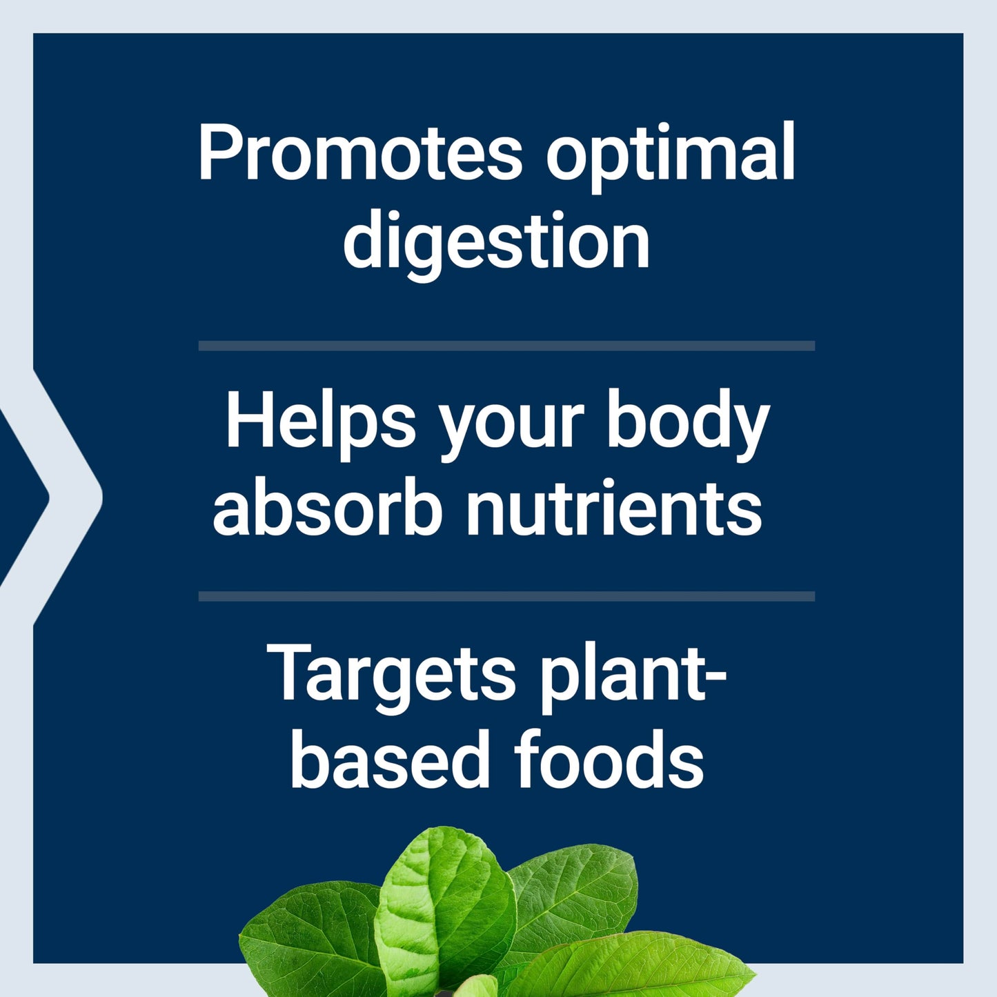 Life Extension Enhanced Super Digestive Enzymes, Supports Digestion, Comfort, digesting Plant-Based Foods, Non-GMO, Vegetarian, 60 Capsules - Medaid International