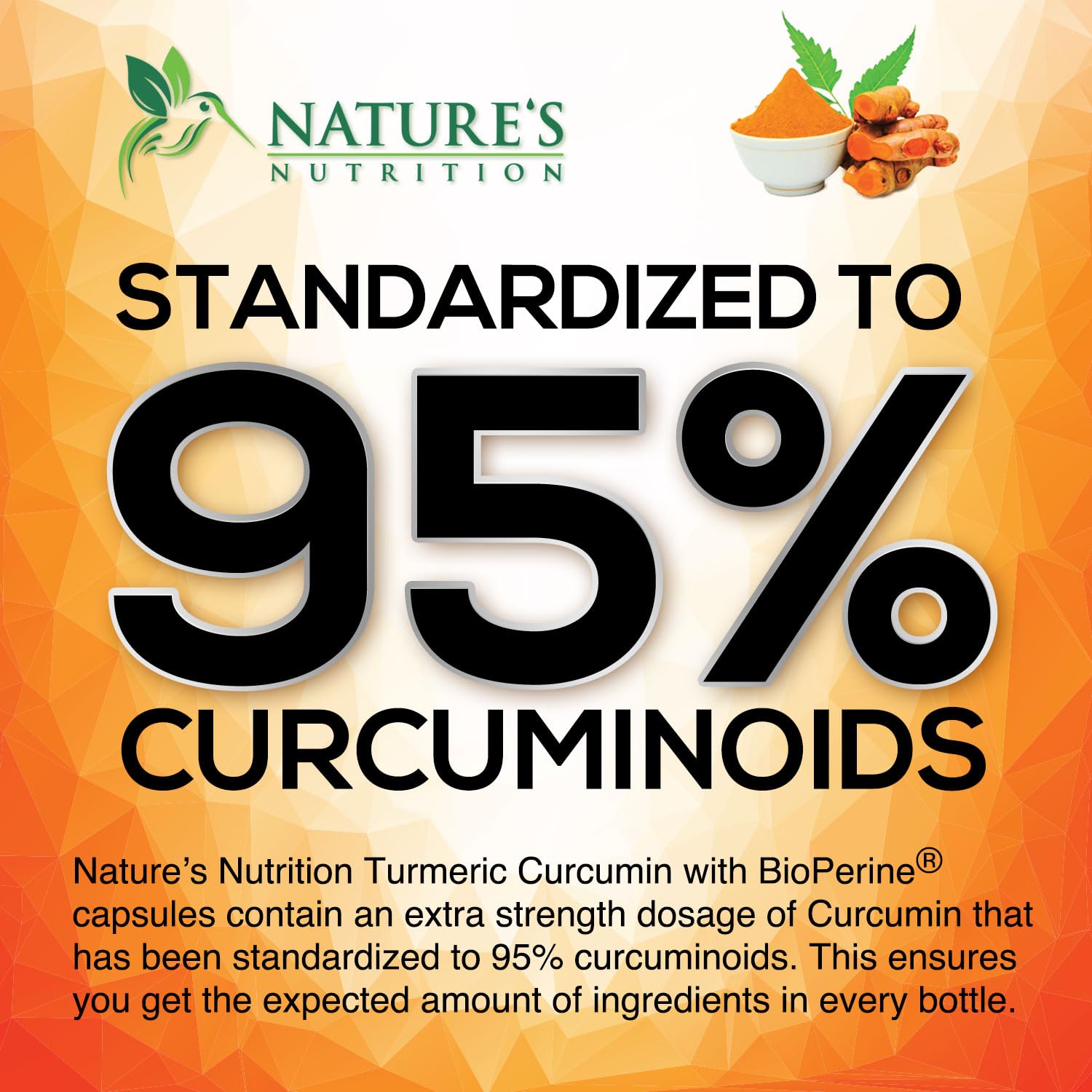 Turmeric Curcumin Supplement 1950mg - 95% Curcuminoids with Organic Turmeric & Ginger, BioPerine Black Pepper for Best Absorption, Nature's Vegan Joint Support, Non-GMO, Bottled in USA - 240 Capsules - Medaid International