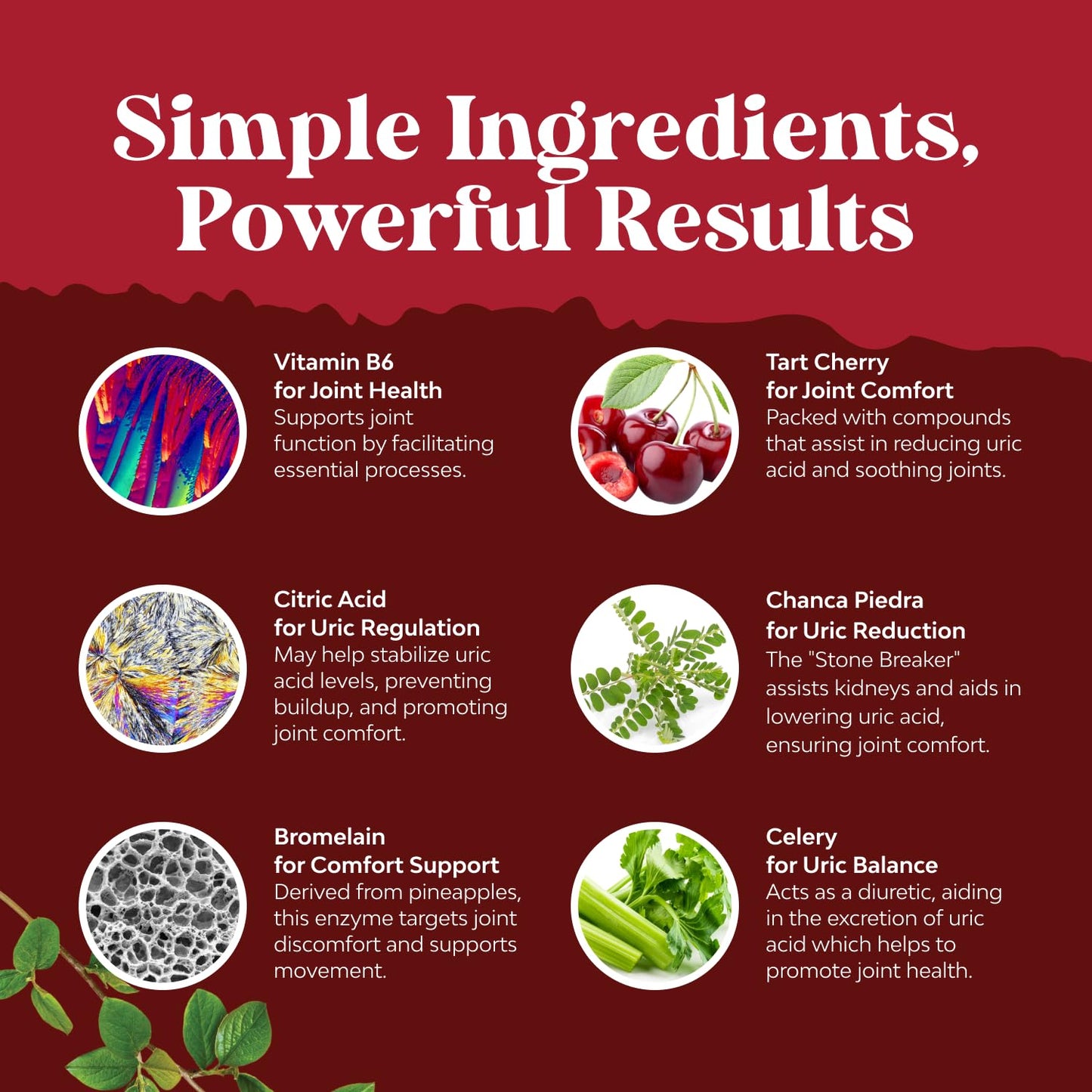 Green Coffee Bean Extract for Uric Acid Cleanse & Detox - Green Coffee Beans with Turmeric, Tart Cherry & Celery Seed for Adults - Daily Uric Acid Flush for Joints Support & Kidney Cleanser – 60 Ct - Medaid International