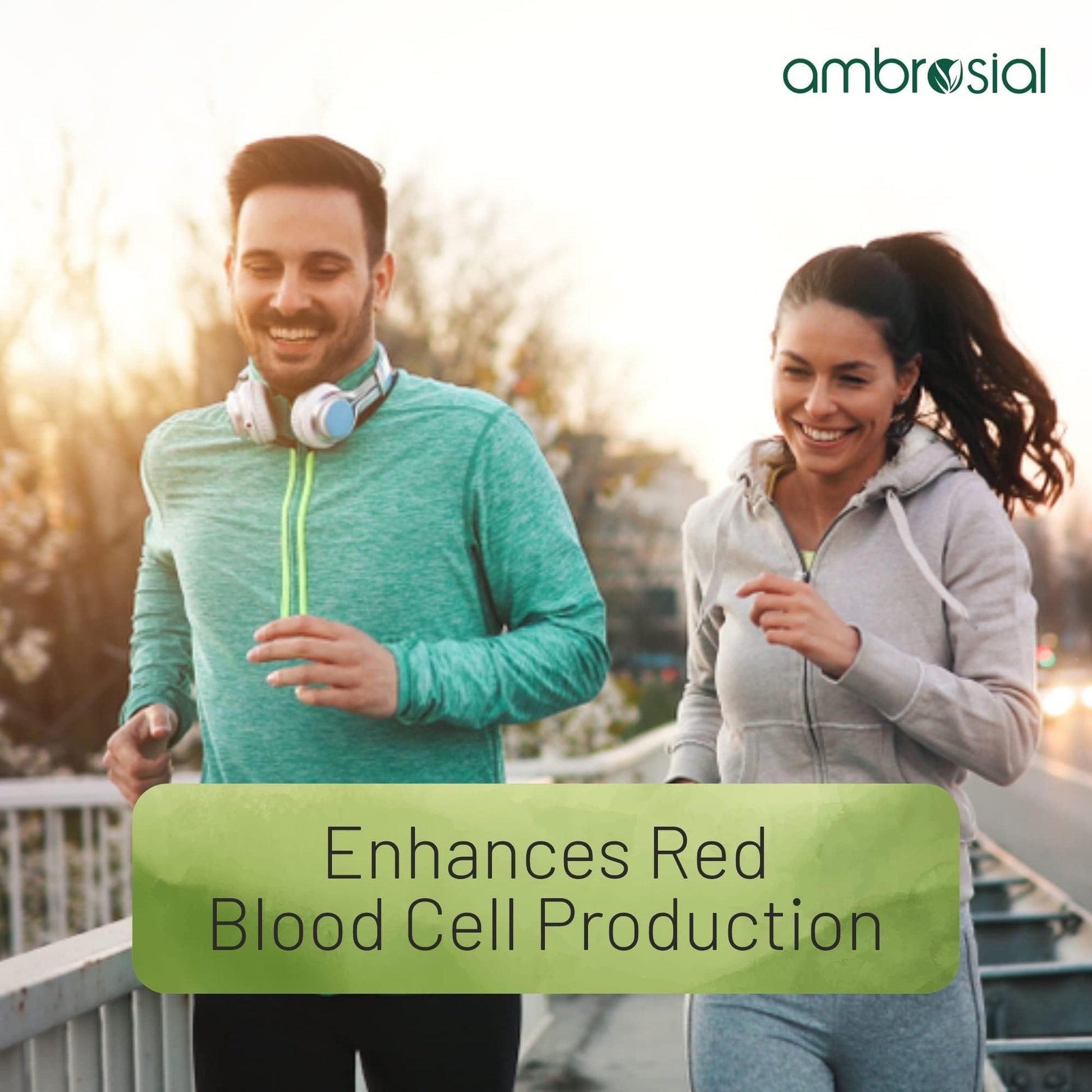 Ambrosial Iron+ 25mg Pack of 2-120 Capsules - Medaid International