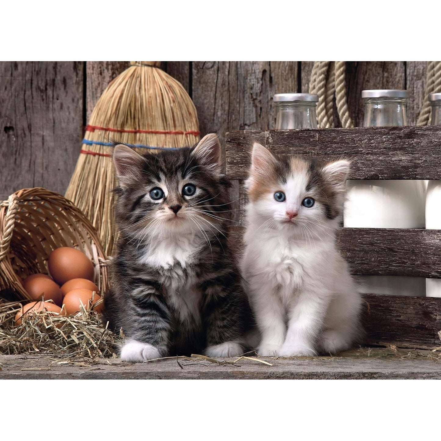 Adult Puzzle PZL 1000 HQC LOVELY KITTENS - Medaid International