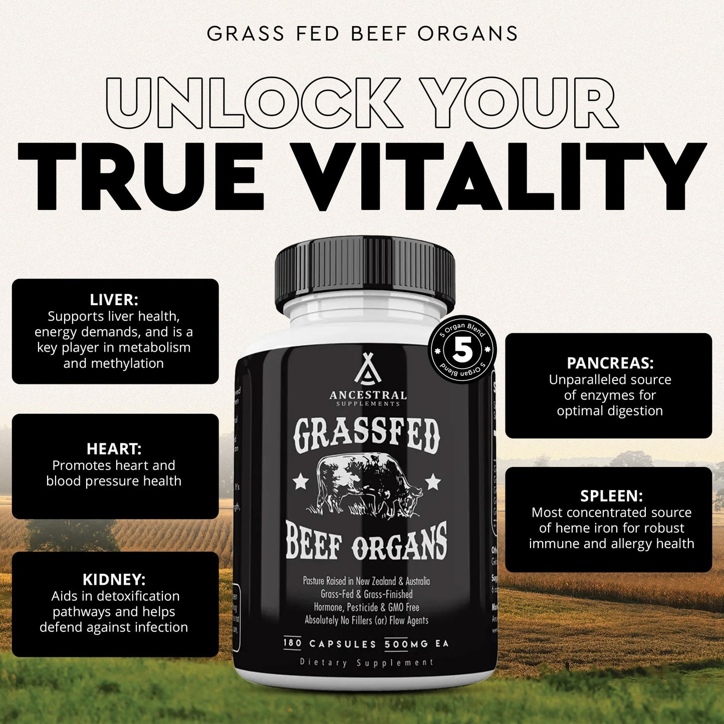 Ancestral Supplements Grass Fed Beef Organ Supplement, Supports Whole Body Wellness with Proprietary Blend of Liver, Heart, Kidney, Pancreas, Spleen, Freeze-Dried Beef, Non-GMO, 180 Capsules - Medaid International