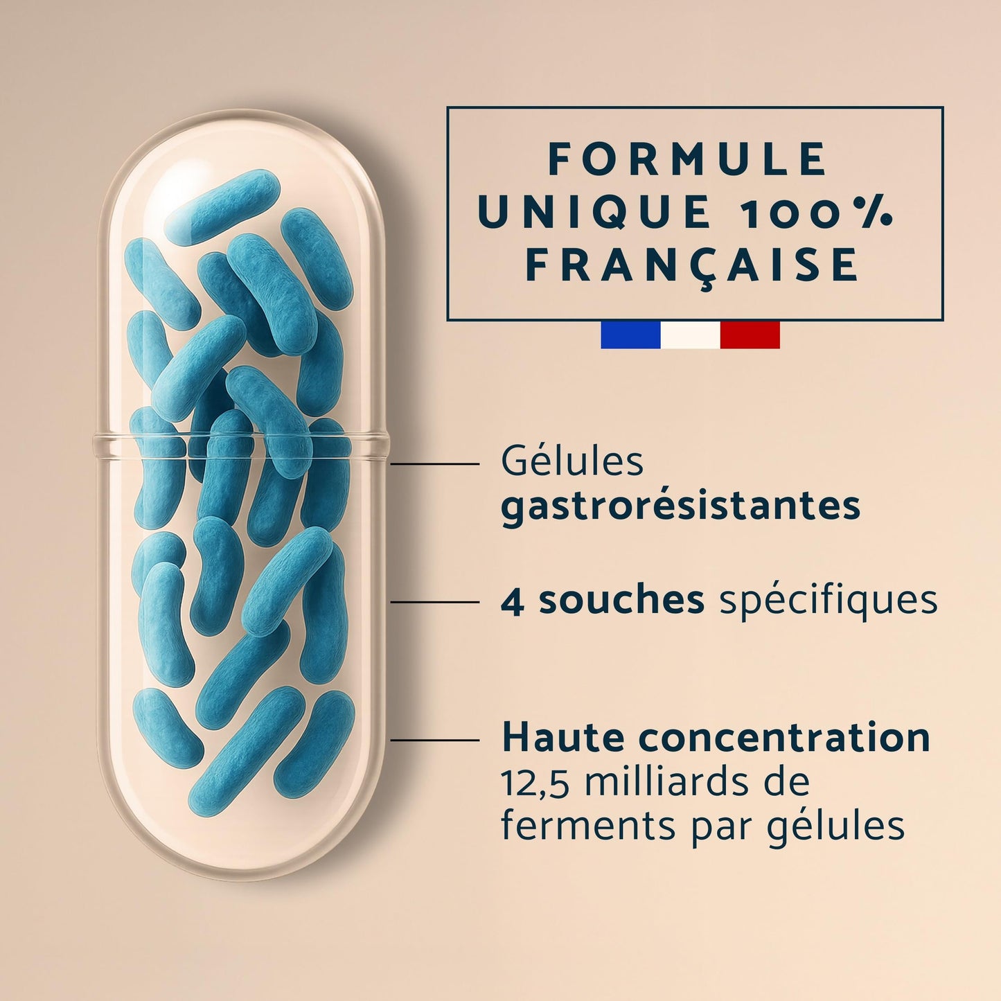 Lactobacillus Gasseri Probiotique Ventre Plat - Flore Intestinale Digestion - 30 Gélules Gastro-Résistantes - Fabriqué en France par Apyforme - Medaid International