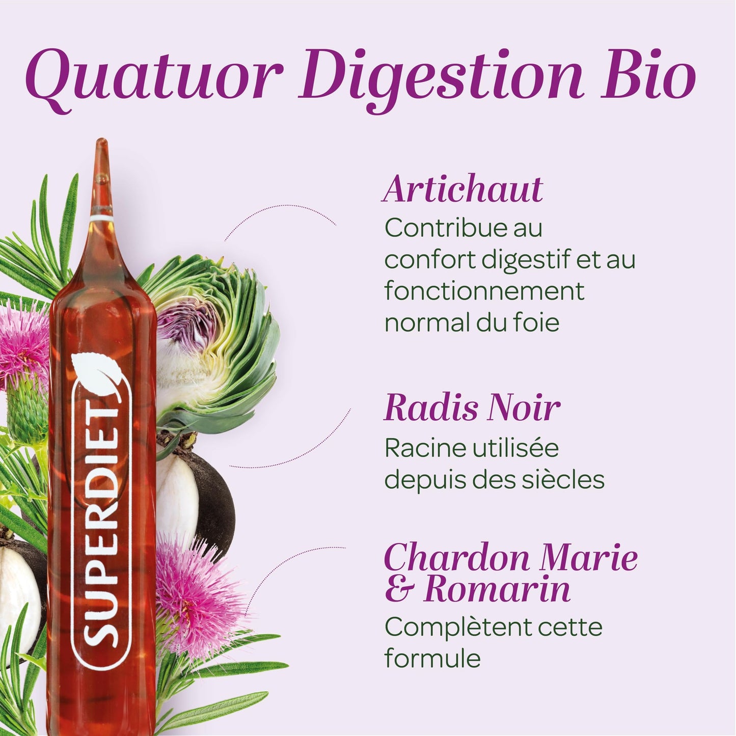 SUPERDIET-QUATUOR DIGESTION BIO-Bien-être du foie -Radis Noir Artichaut Chardon Marie Romarin-Fabrication Française-20 Ampoules de 15ml - Medaid International