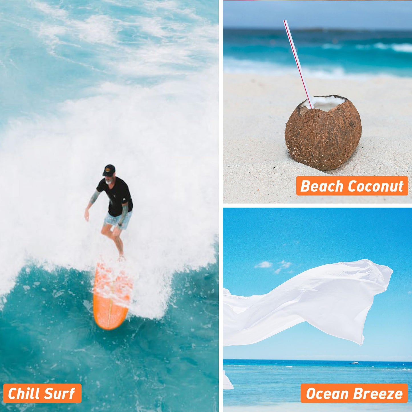 Hawaii Fragrance Oil, ESSLUX 6x10ml Essential Scented Oils Set, Candle Making Scents, Soap Making, Laundry, Diffuser Oil Fresh Scents for Spring Summer, Ocean Breeze, Beach Coconut - Medaid International