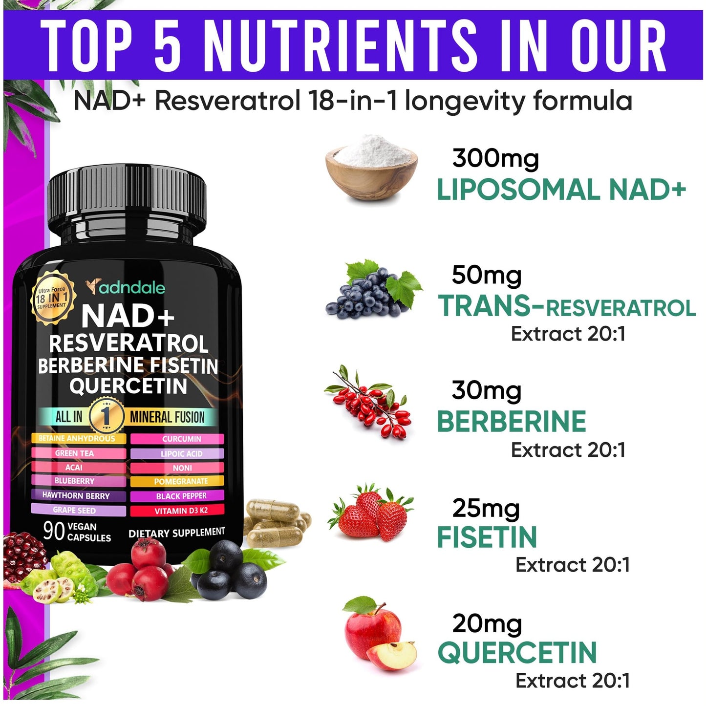 Adndale NAD Supplement. NMN Alternative Liposomal NAD+, Trans Resveratrol, Quercetin, Berberine, Betaine Anhydrous, Grape Seed, Fisetin. 90 Capsules - Medaid International