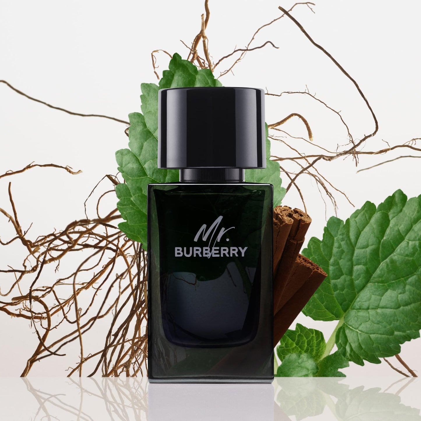 Burberry Mr. Burberry Eau de Parfum 3.3 fl oz - Medaid International