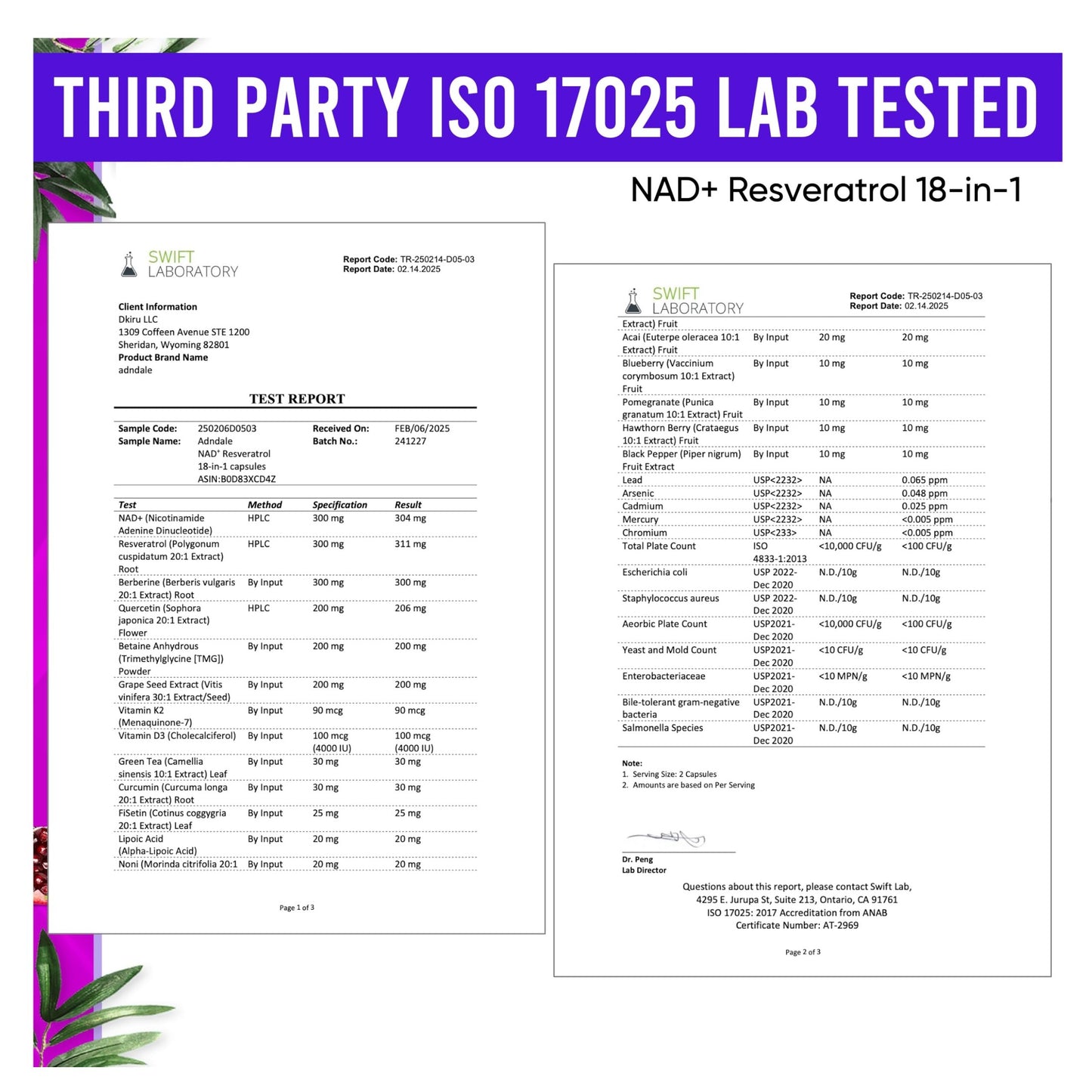 Adndale NAD Supplement. NMN Alternative Liposomal NAD+, Trans Resveratrol, Quercetin, Berberine, Betaine Anhydrous, Grape Seed, Fisetin. 90 Capsules - Medaid International