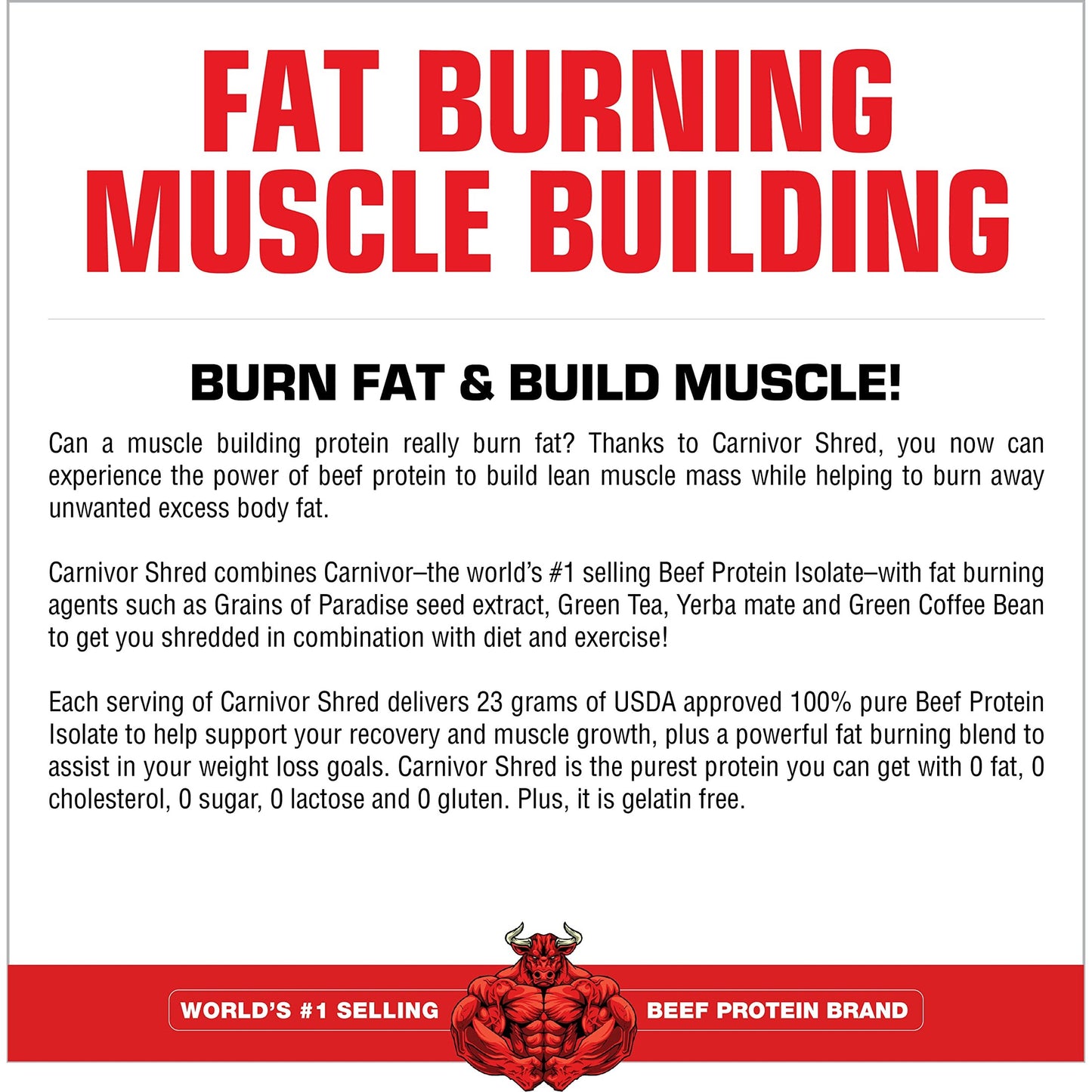MuscleMeds Carnivor Shred Fat Burning Hydrolized Beef Protein Isolate, 0 Lactose, 0 Sugar, 0 Fat, Chocolate, 4.35 lbs - Medaid International