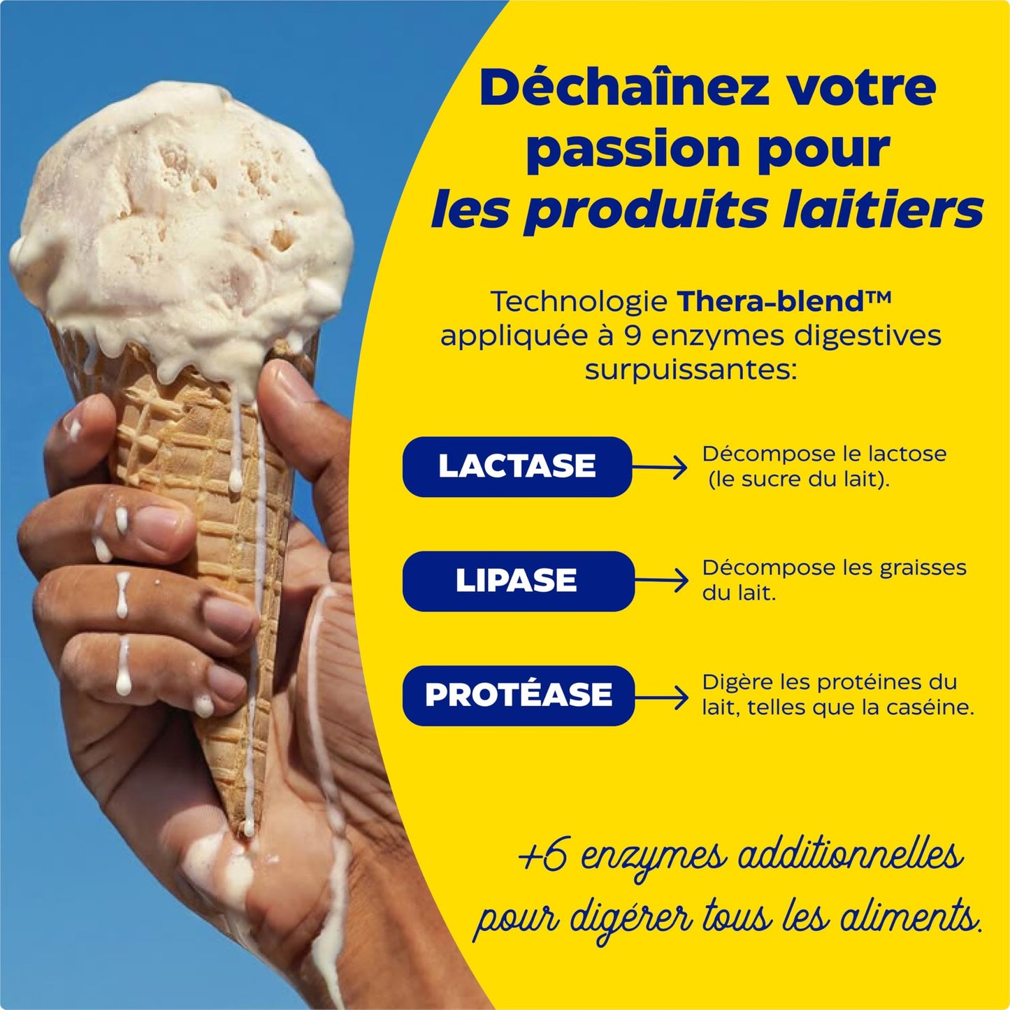 Enzymedica, Lacto, Formule Enzymatique Pour L'Intolérance Au Lactose Et À La Caséine, Indiqué Contre La Contamination Croisée, Sans Gluten, Sans Produits Laitiers, Végétalien, 90 Capsules - Medaid International