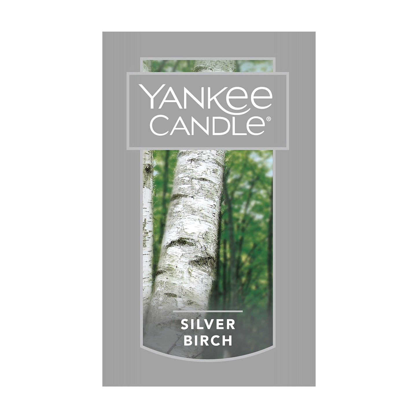 Yankee Candle Silver Birch Scented, Classic 22oz Large Jar Single Wick Aromatherapy Candle, Over 110 Hours of Burn Time, Apothecary Jar Fall Candle, Autumn Candle Scented for Home - Medaid International
