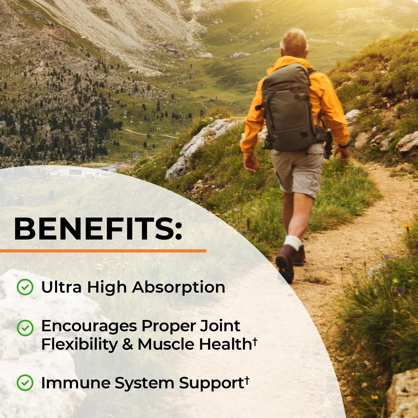 Turmeric Curcumin with Black Pepper Extract 1500mg - High Absorption Ultra Potent Turmeric Supplement with 95% Curcuminoids and BioPerine - Non GMO Tumeric Capsules for Joint Support - 90 Capsules - Medaid International