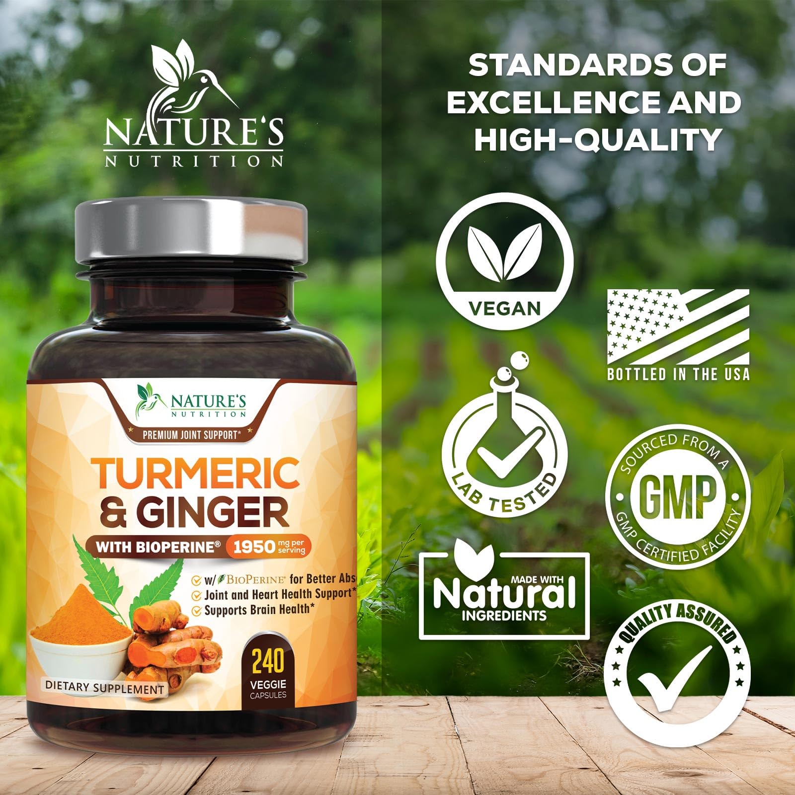 Turmeric Curcumin Supplement 1950mg - 95% Curcuminoids with Organic Turmeric & Ginger, BioPerine Black Pepper for Best Absorption, Nature's Vegan Joint Support, Non-GMO, Bottled in USA - 240 Capsules - Medaid International