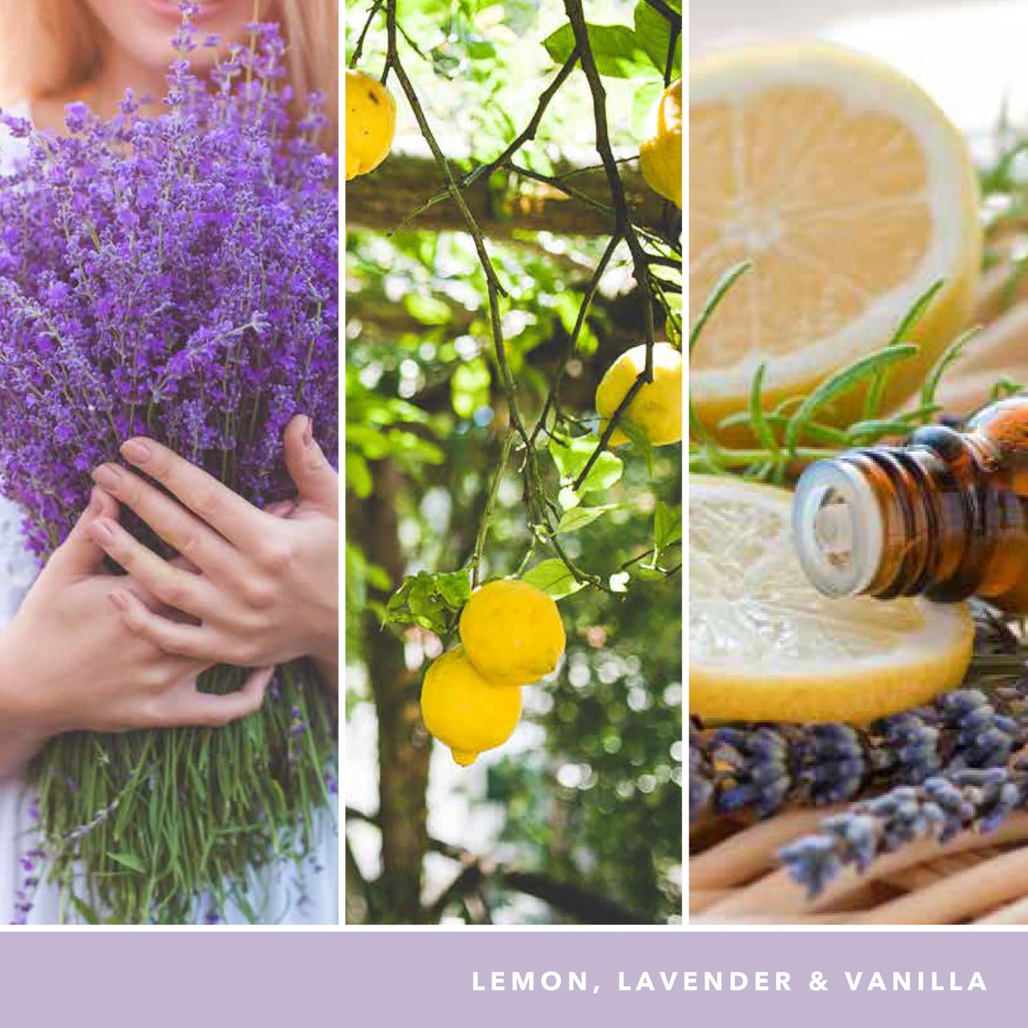 Yankee Candle Lemon Lavender Scented Classic 22oz Large Jar Single Wick Candle Over 110 Hours of Burn Time Ideal for Gifting Events and Home Fragrance - Medaid International