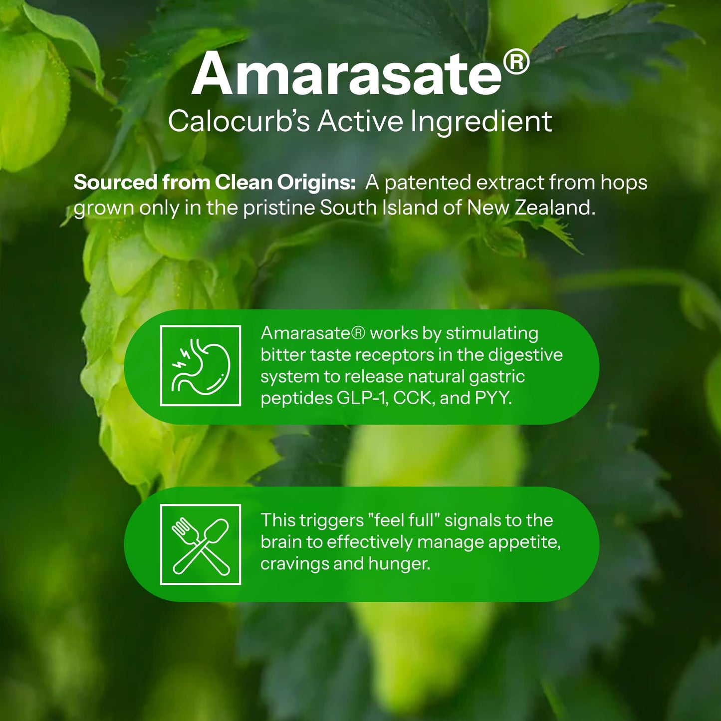 Calorie Control Supplement 6X Natural GLP-1 Activator, Official & Patented Amarasate Formula, Plant Based Dietary GLP1 Supplement, Manages Appetite, Hunger & Cravings, 1 Month Average Supply, 90 Count - Medaid International