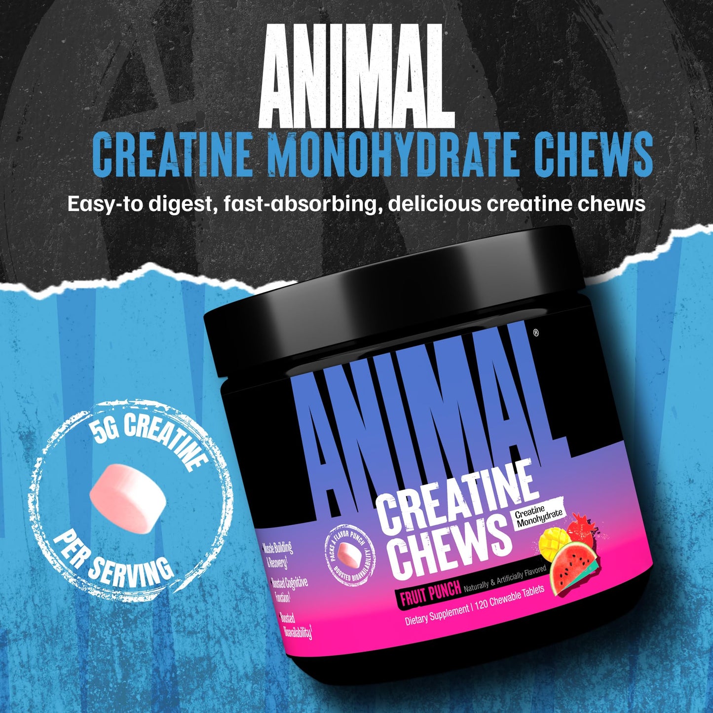 Animal Creatine Chews Tablets - Enhanced Creatine Monohydrate with AstraGin to Improve Absorption, Sea Salt for Added Pumps, Delicious and Convenient Chewable Tablets - Fruit Punch - Medaid International