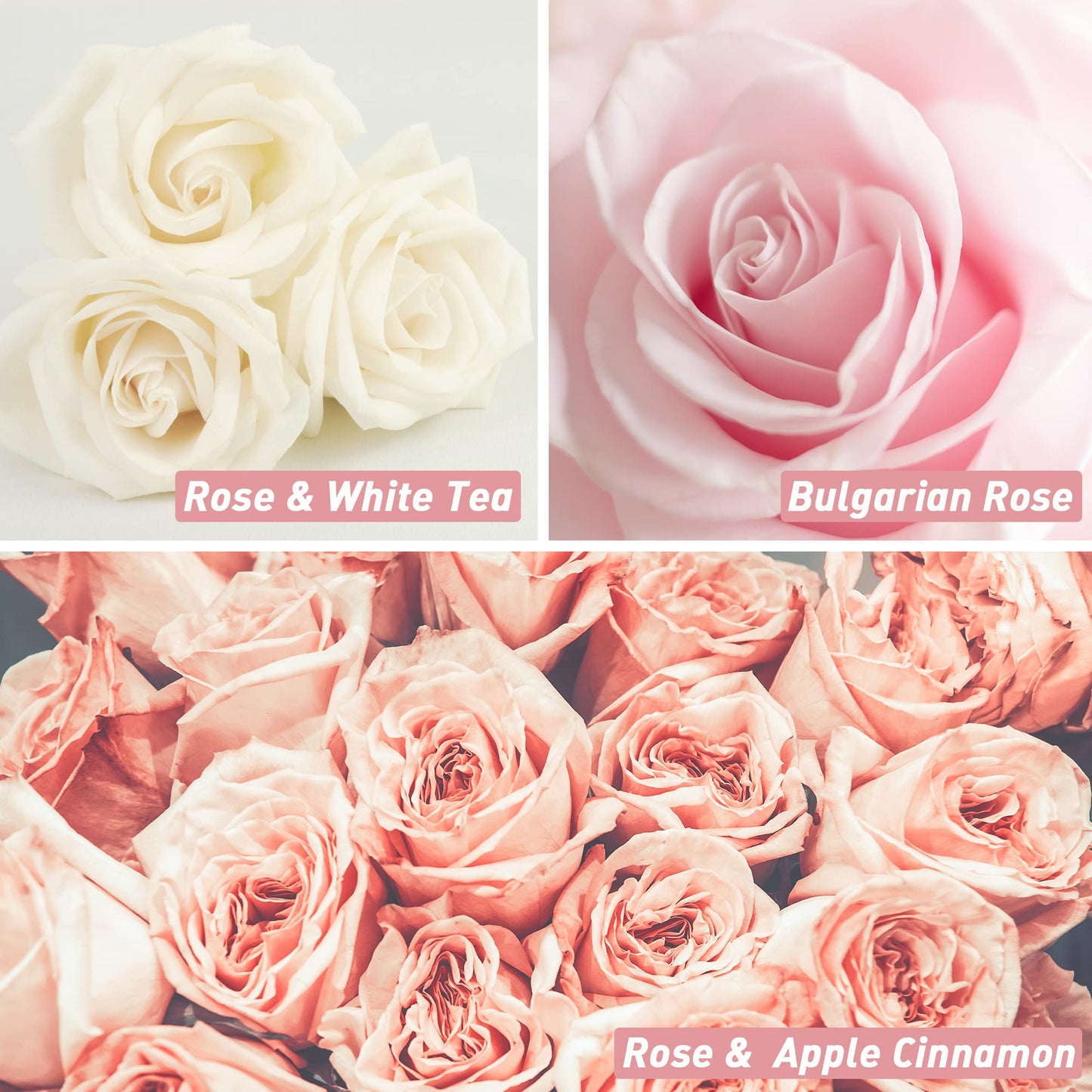 Rose Fragrance Oil, ESSLUX Premium Floral Scented Oils for Diffuser, Soap Candle Making Scents, Rose Essential Oils Gift Set for Home Fragrance - Bulgarian Rose, Black Rose & Oud, Rock Rose and More - Medaid International