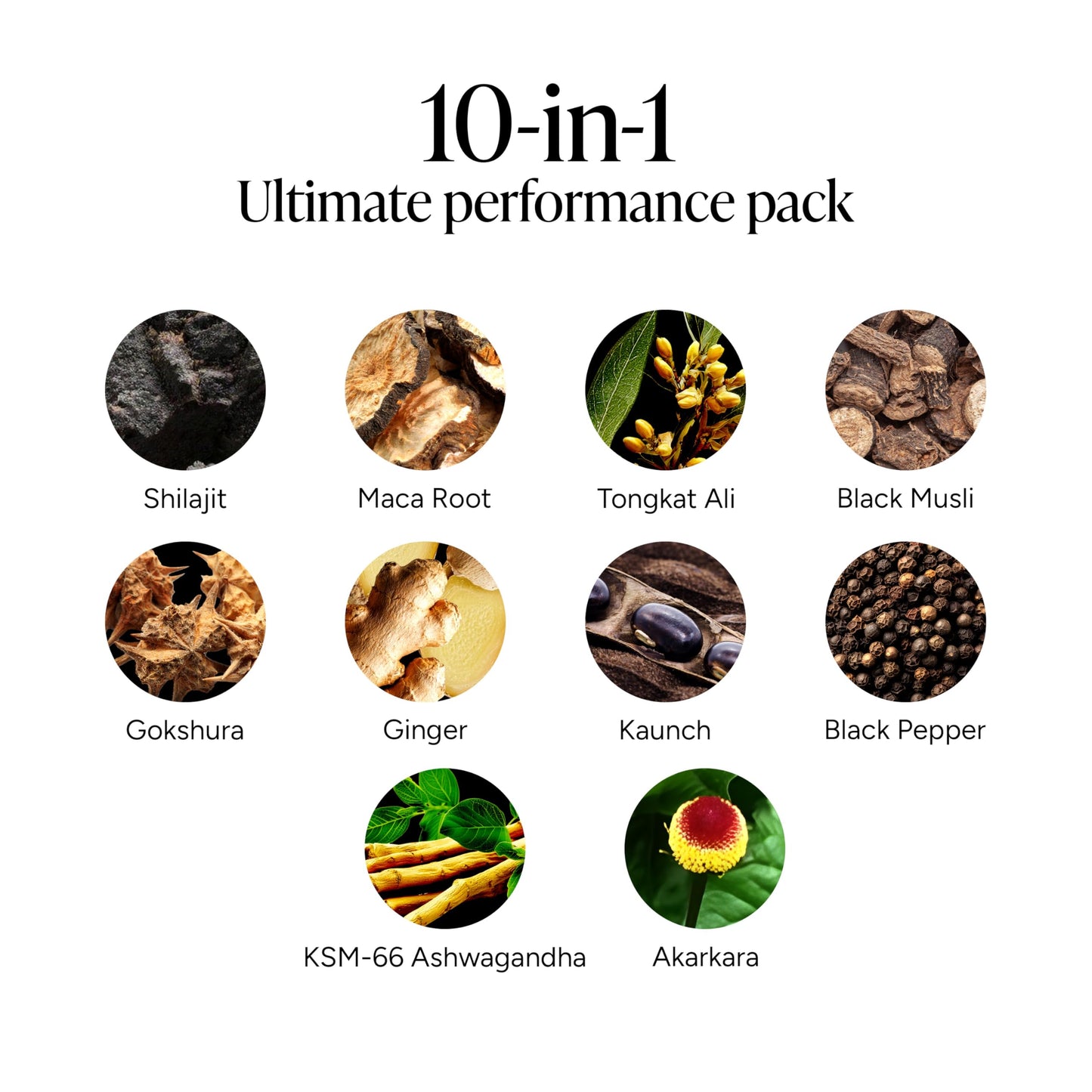 ROOT LABS 10 in 1 Alpha & Sea Moss Gummies Combo I 4000 mg Shilajit, 1600 mg Sea Moss I Lab Tested I No Added Sugar | 75%+ Fulvic Acid, 92+ Minerals I KSM 66 Ashwagandha I 1 Month Pack - Medaid International