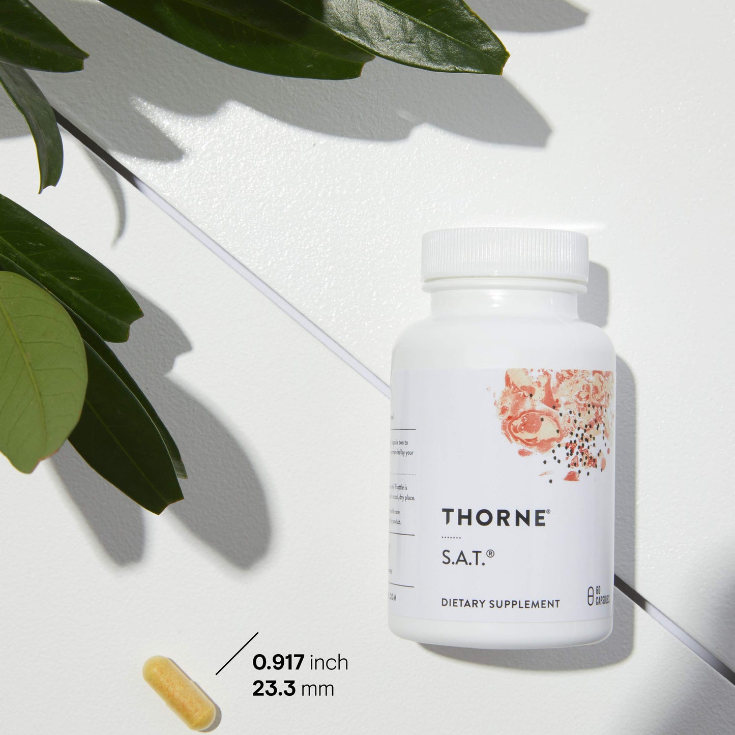 THORNE - S.A.T. - Milk Thistle Complex with Silymarin, Artichoke, and Turmeric Extracts for Liver Support* - Soy, Gluten & Dairy Free - 60 Capsules - Medaid International