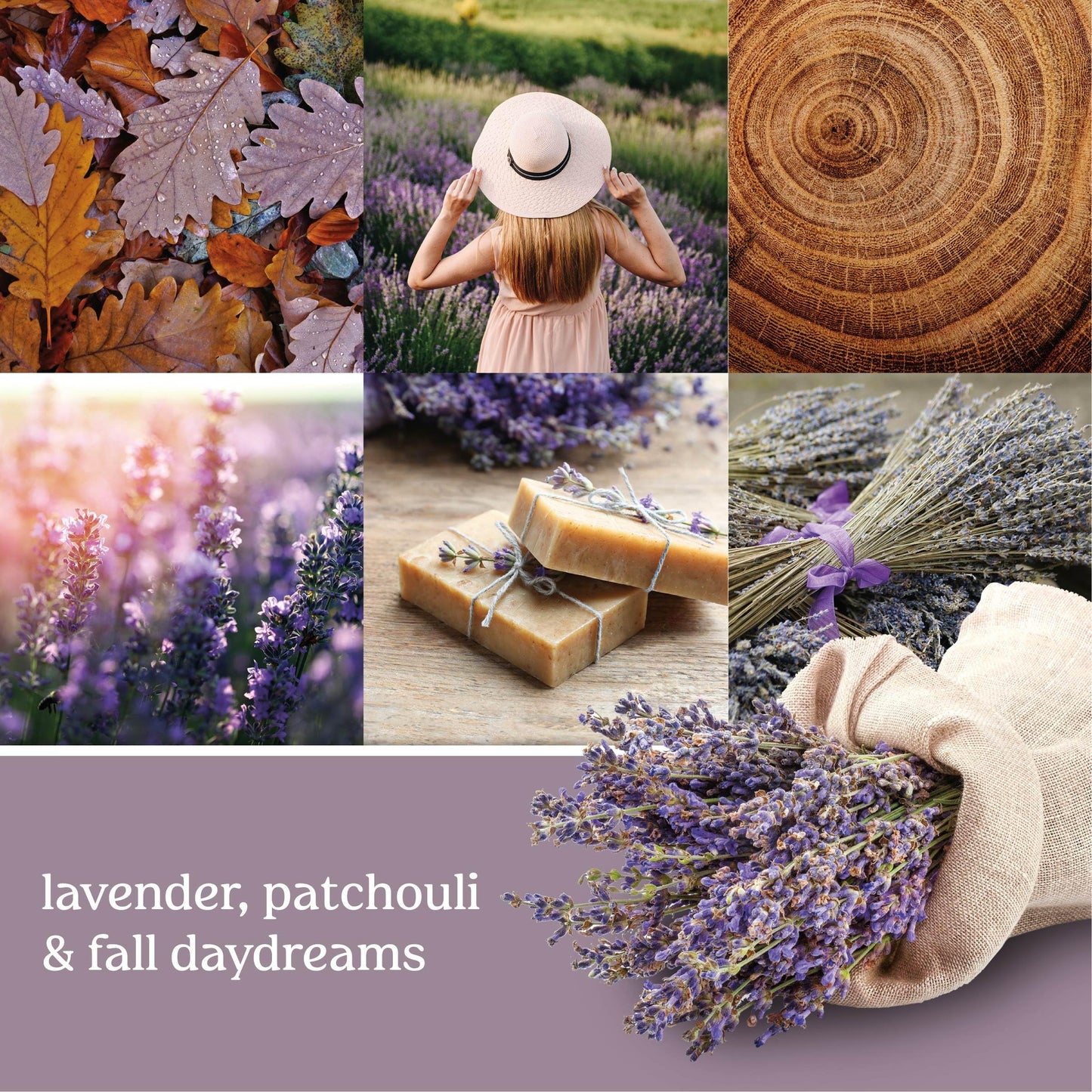Yankee Candle ScentPlug Refill, Dried Lavender & Oak, 1 CT (Pack of 2) - Medaid International