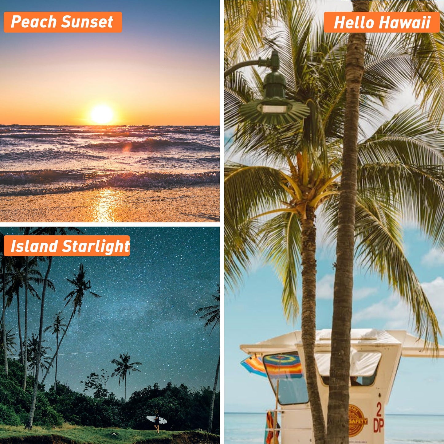 Hawaii Fragrance Oil, ESSLUX 6x10ml Essential Scented Oils Set, Candle Making Scents, Soap Making, Laundry, Diffuser Oil Fresh Scents for Spring Summer, Ocean Breeze, Beach Coconut - Medaid International