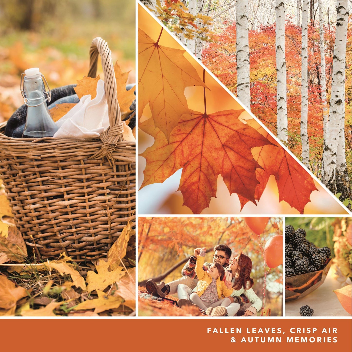 Yankee Candle Concentrated Room Spray, Autumn Leaves, 1.5 OZ (Pack of 3) - Medaid International