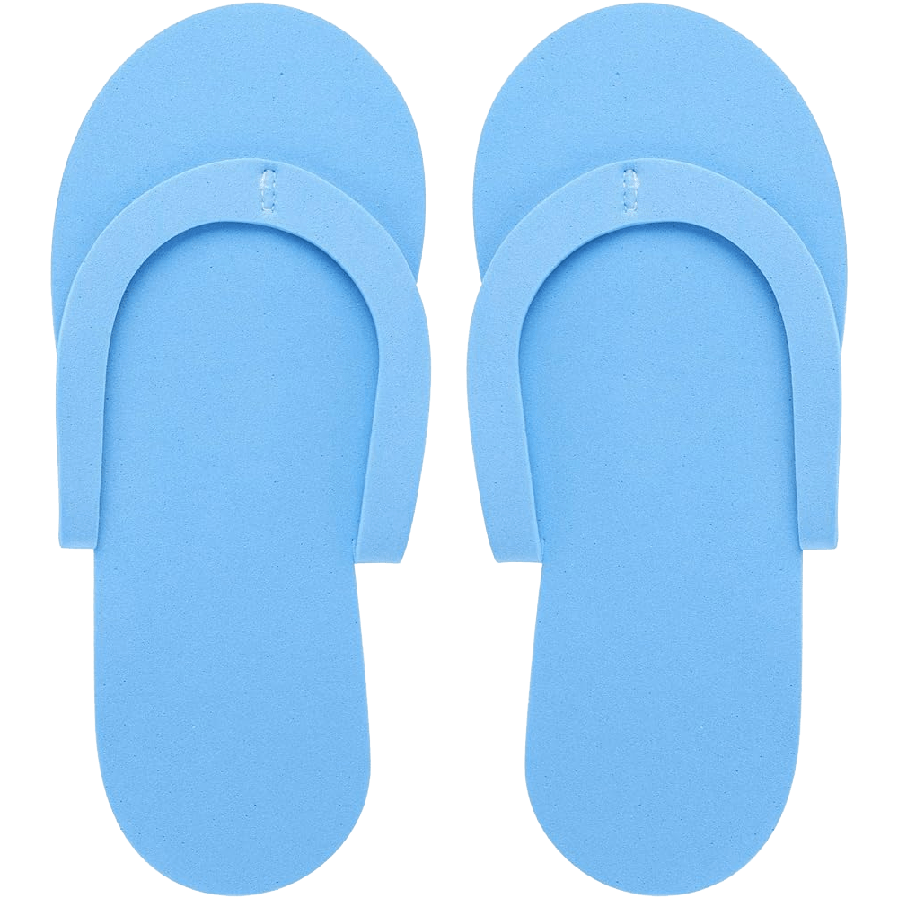 LION GATE SLIPPER PAIR - Medaid