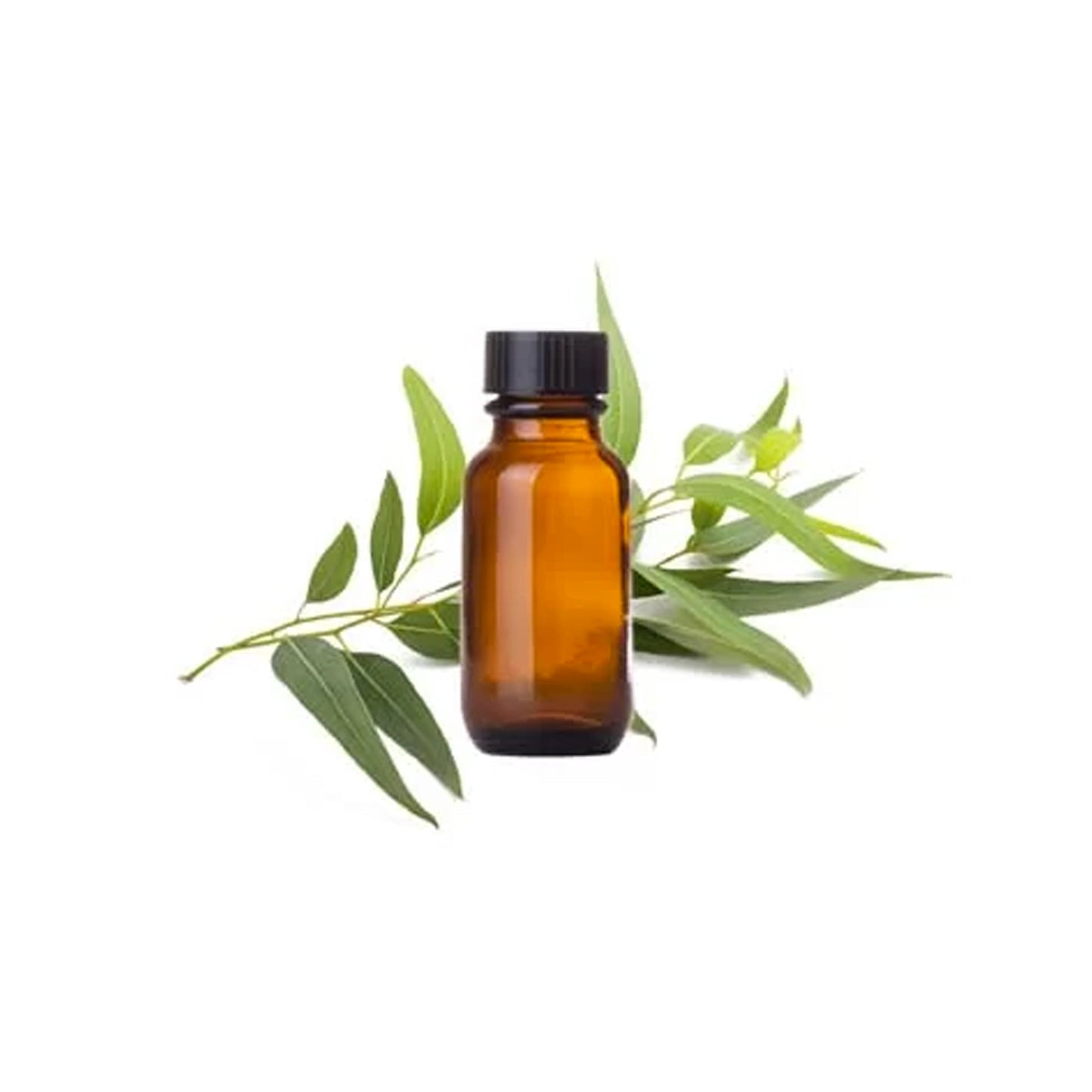 HERBATY ESSENTIAL OIL - EUCALYPTUS - Medaid International