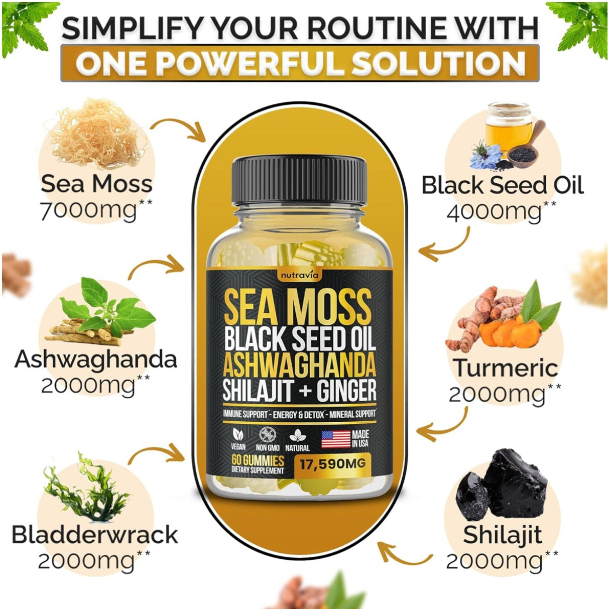 Sea Moss, Black Seed Oil, Ashwagandha, Ginger, Shilajit Gummies with Elderberry, Chlorophyll, Turmeric, Bladderwrack 17590mg Advanced Strength Formula - All in 1 Bundle - Made in USA (60 Gummies) - Medaid International