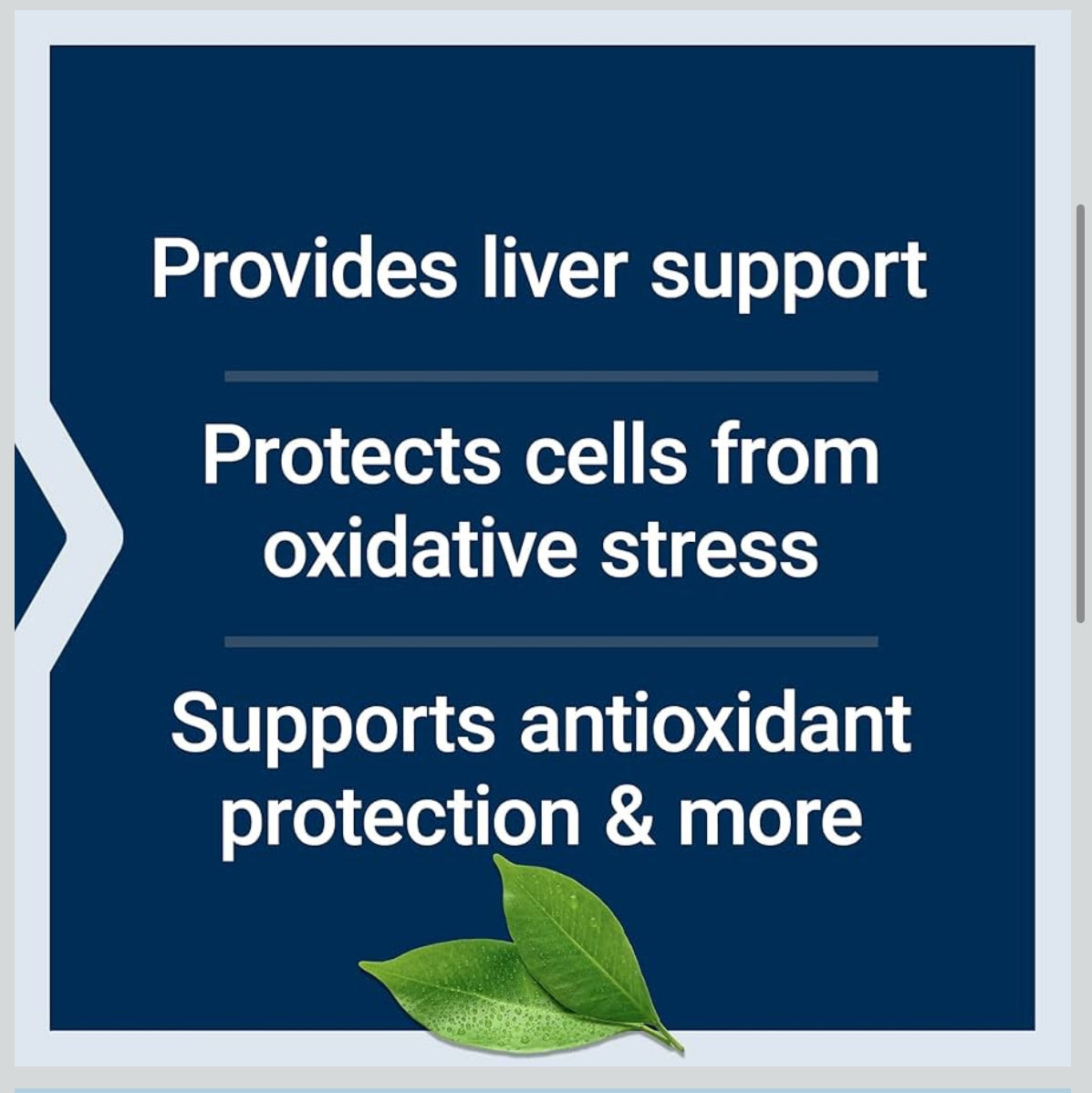 Life Extension Glutathione, Cysteine & C, 500 mg of Vitamin C, Powerful antioxidant Supplement to Support Liver Health, Gluten-Free, Non-GMO, 100 Capsules - Medaid International