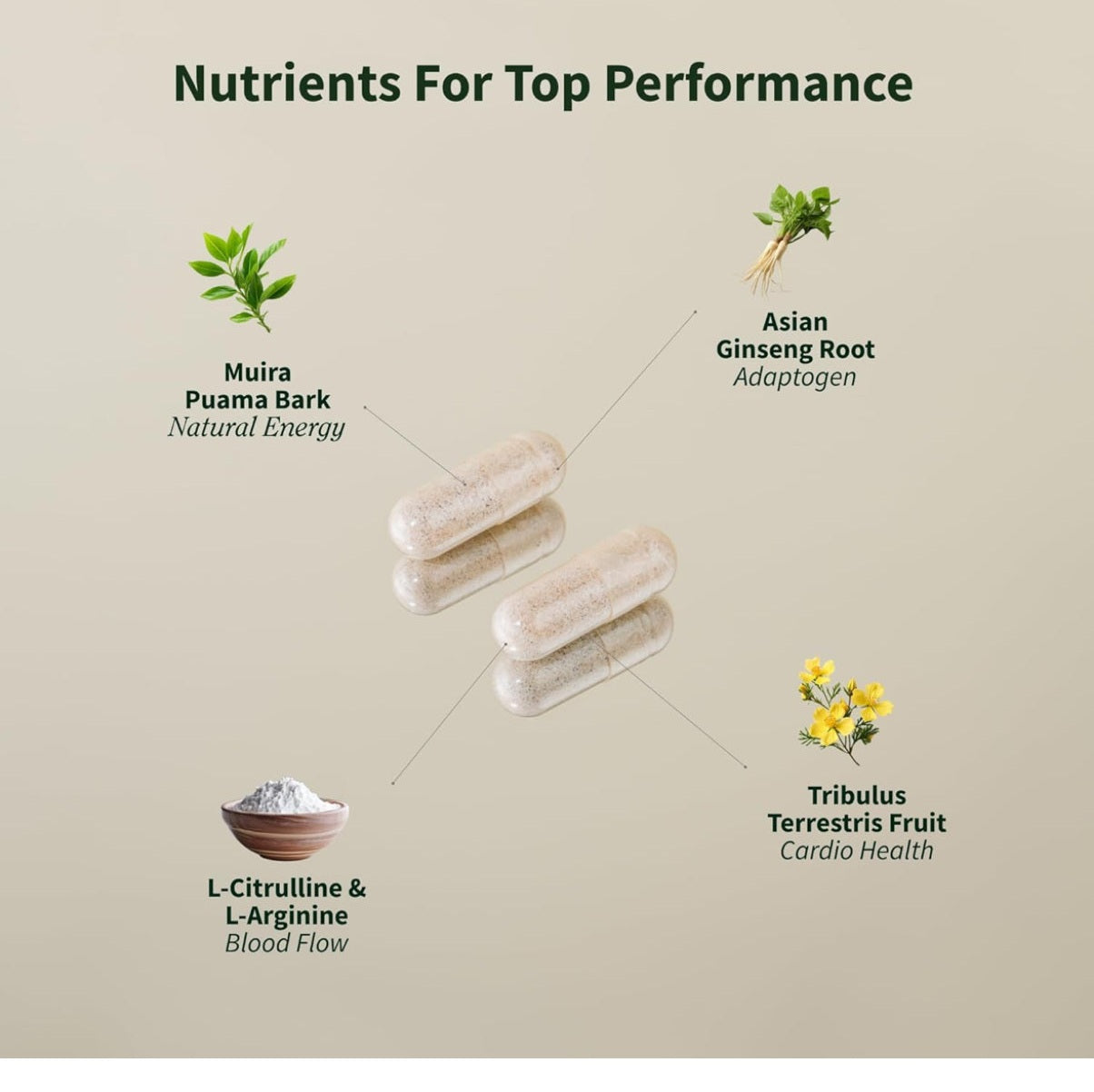 Snap Supplements Nitric Oxide Booster Supplement with L Arginine and L Citrulline Essential Amino Acids and Ginseng Root, Energy, Heart Heal - Medaid International