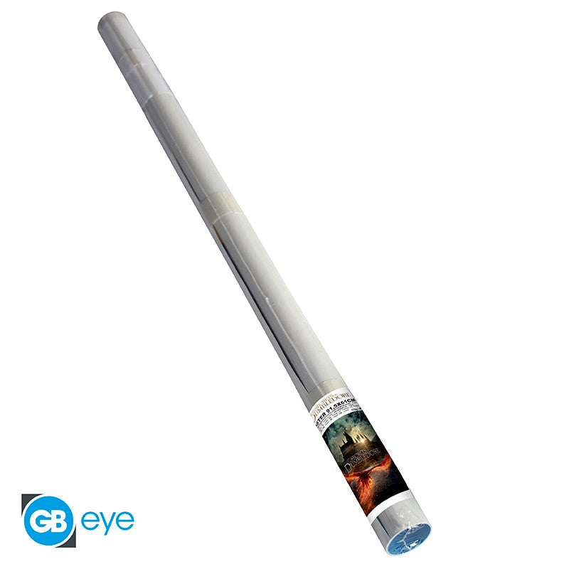 FANTASTIC BEASTS - Poster Movie Poster (91.5x61) - Medaid International