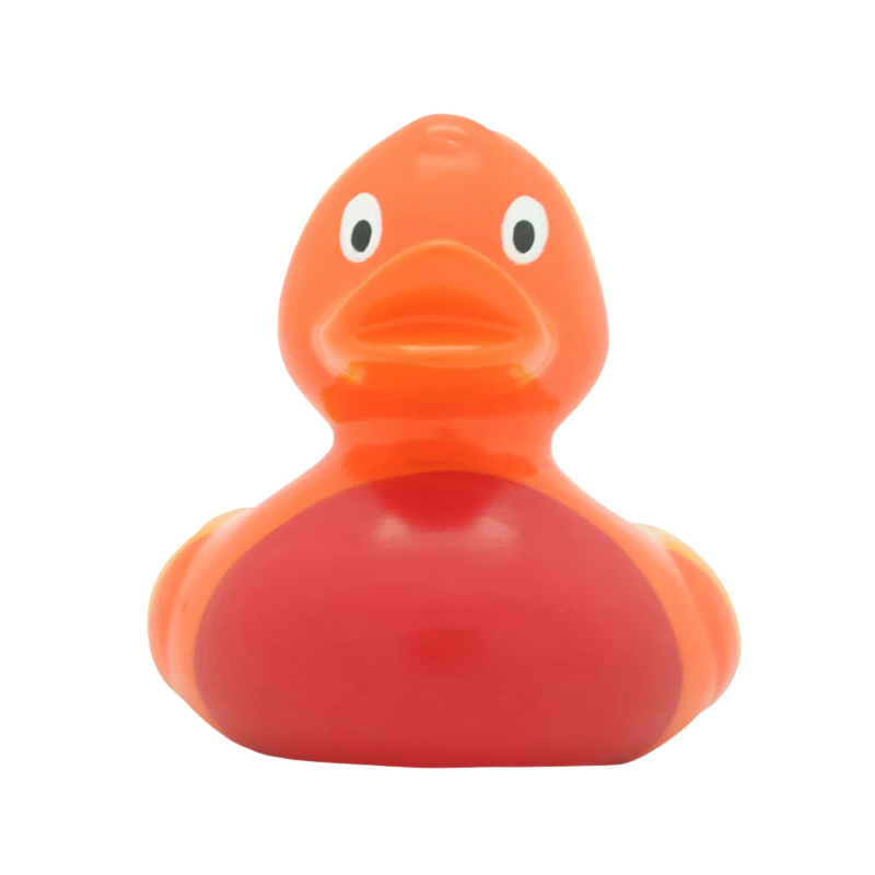 LILALU LILALU DUCK RAINBOW SMALL - Medaid International