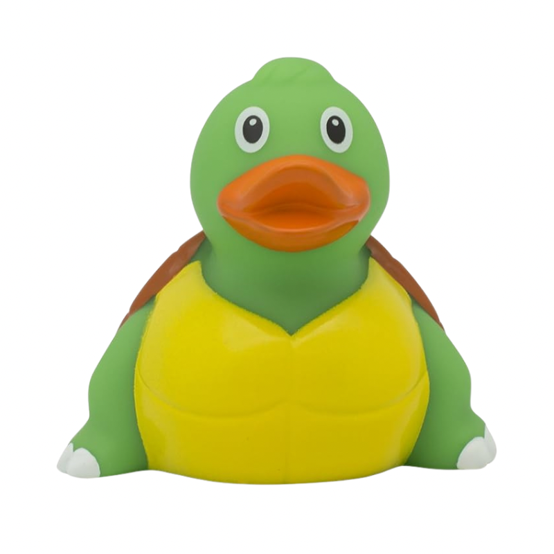 LILALU TURTLE DUCK SMALL - Medaid International