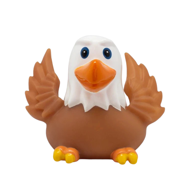 Eagle Duck - Medaid International