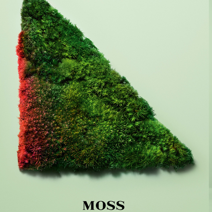 Prada Perfume Paradoxe Intense Eau de Parfum For Women - Medaid International