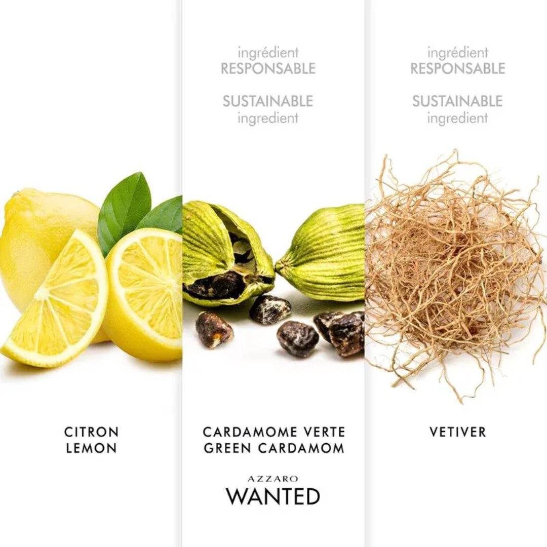 Azzaro Wanted Eau De Toilette For Men Refill - Medaid International