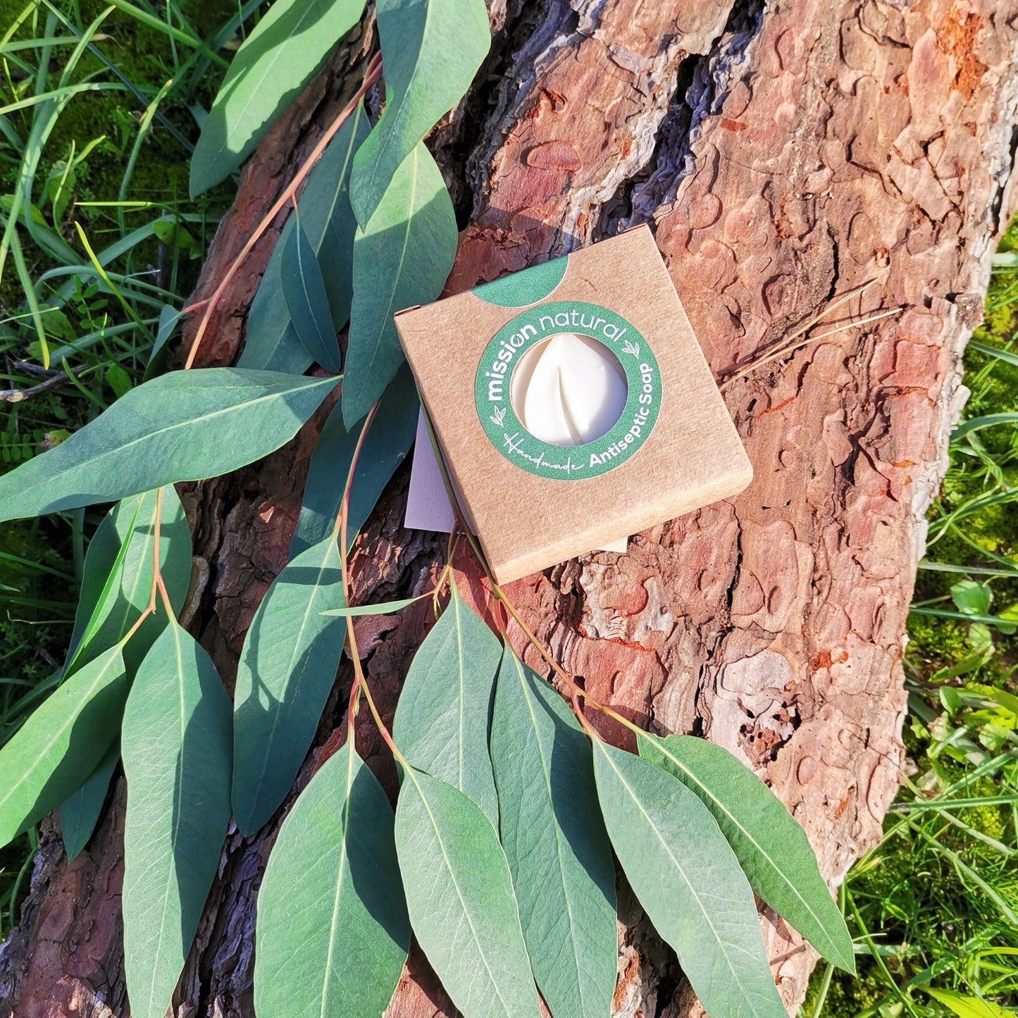 Antiseptic Soap - Medaid International