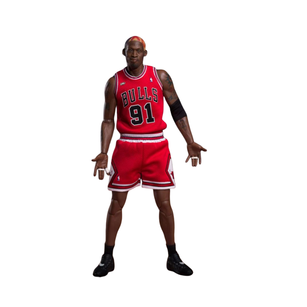 NBA Basketball - Dennis Rodman 1/6th Scale Action Figure By Enterbay - Medaid International