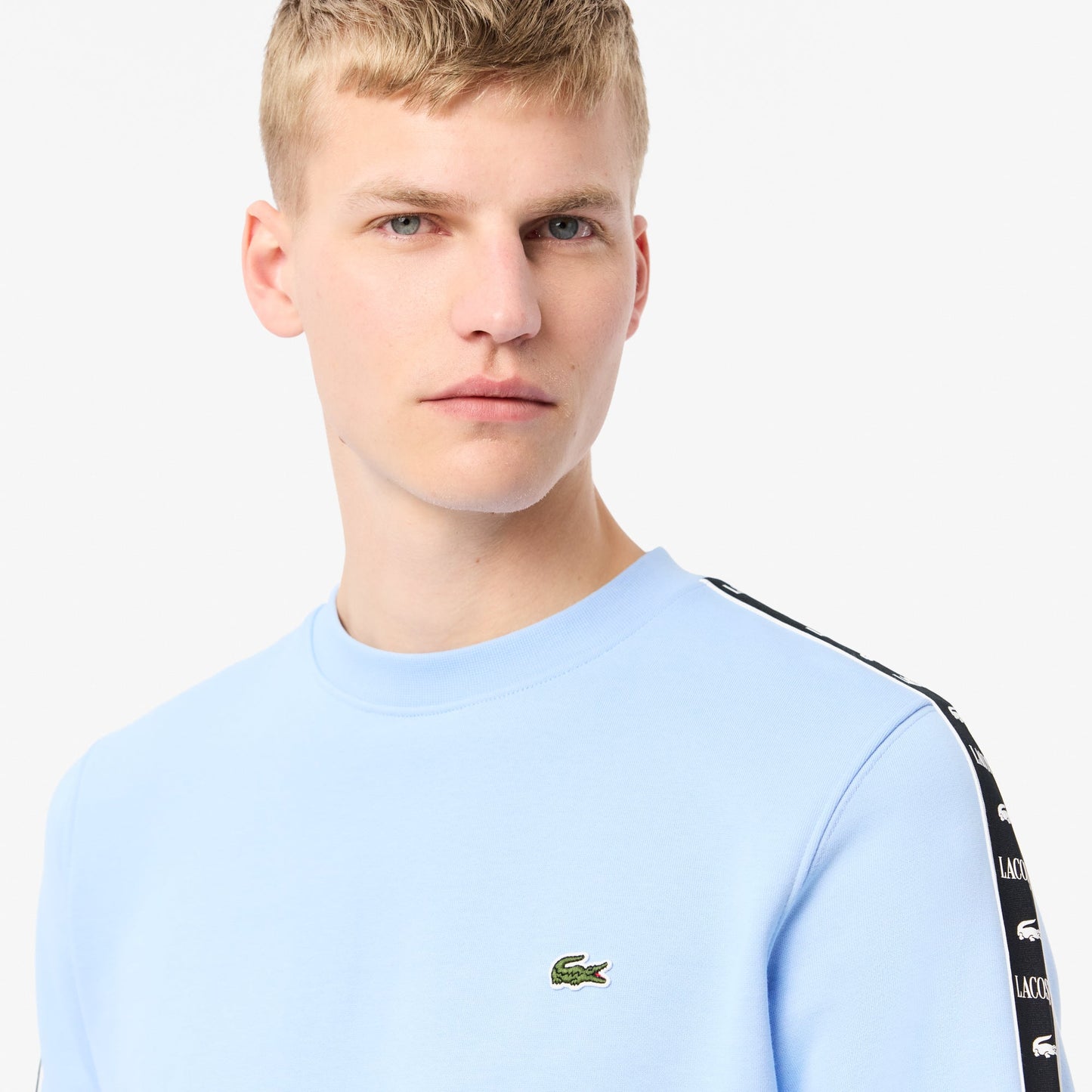 buy-logo-strip-crew-neck-sweatshirt-sh7492-hbp-lebanon - Medaid International