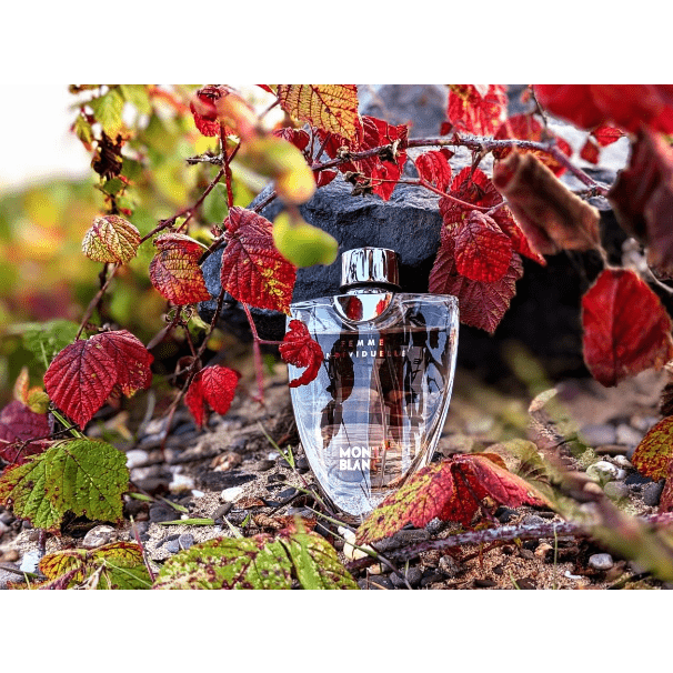 Mont Blanc Individuel Eau De Toilette For Women 75ml - Medaid