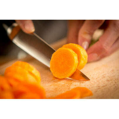 Ice Force-Utility Knife 11cm - Medaid International