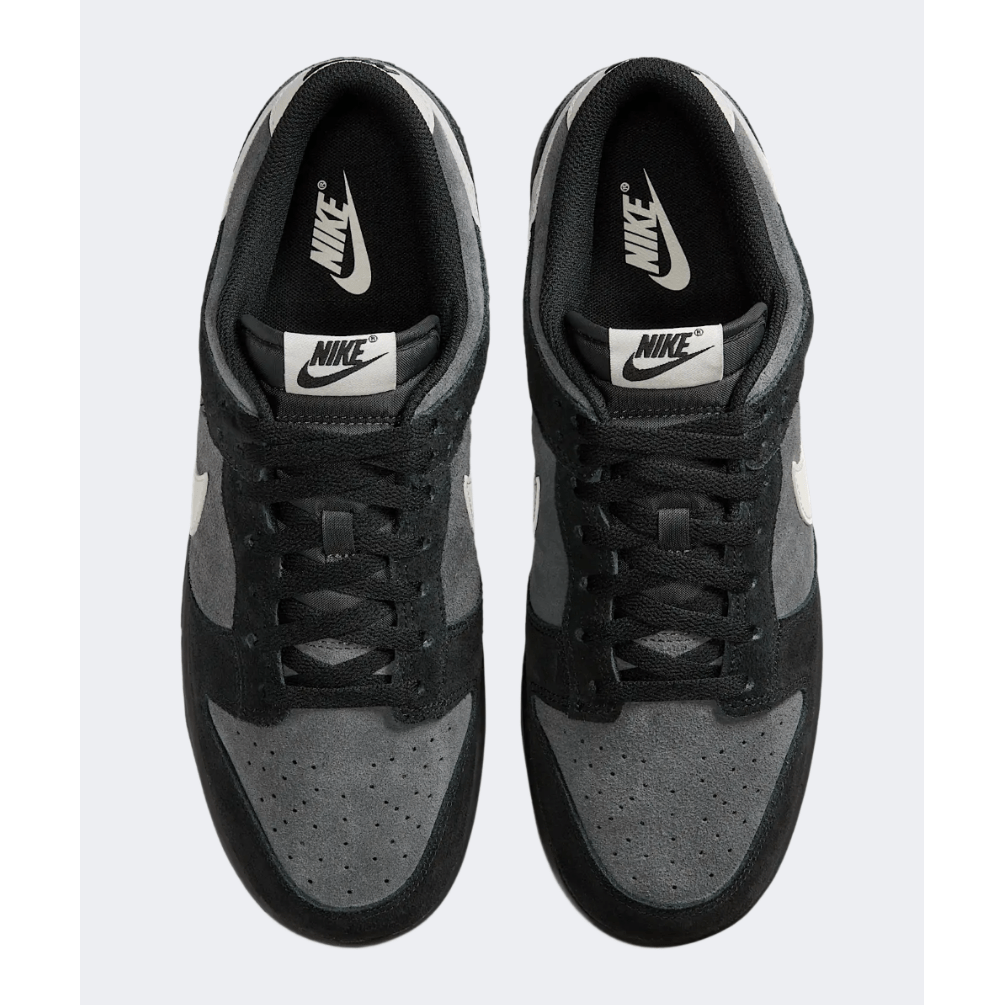 Nike Dunk Low Retro Se Men Lifestyle Shoes Black/Brown/Pale - Medaid International