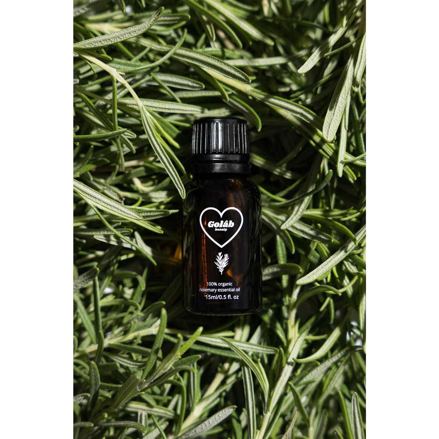 100% Organic Rosemary Essential Oil - Medaid International
