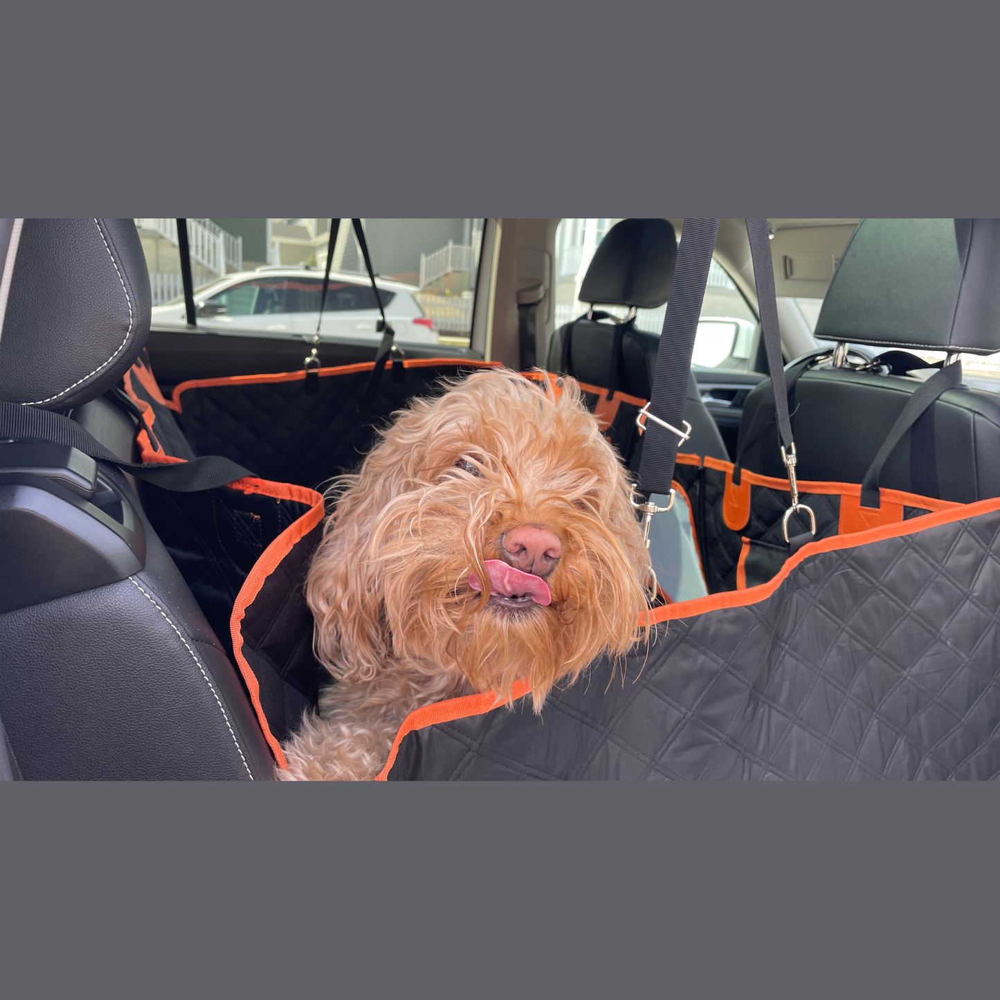 Waterproof Dog Car Seat Cover for Back Seat