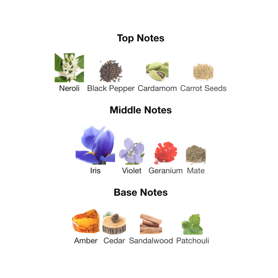 Prada L'Homme Eau de Toilette for Men - Medaid International