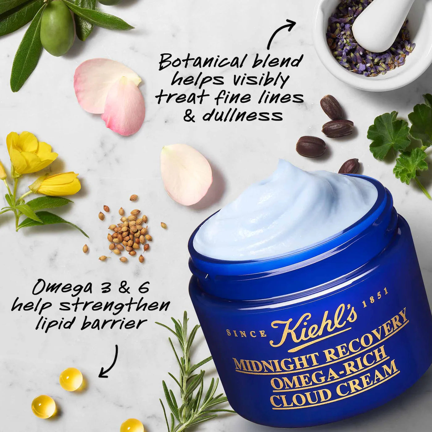 Kiehl's - Midnight Recovery Omega-Rich Cloud Cream | 50 mL - Medaid International